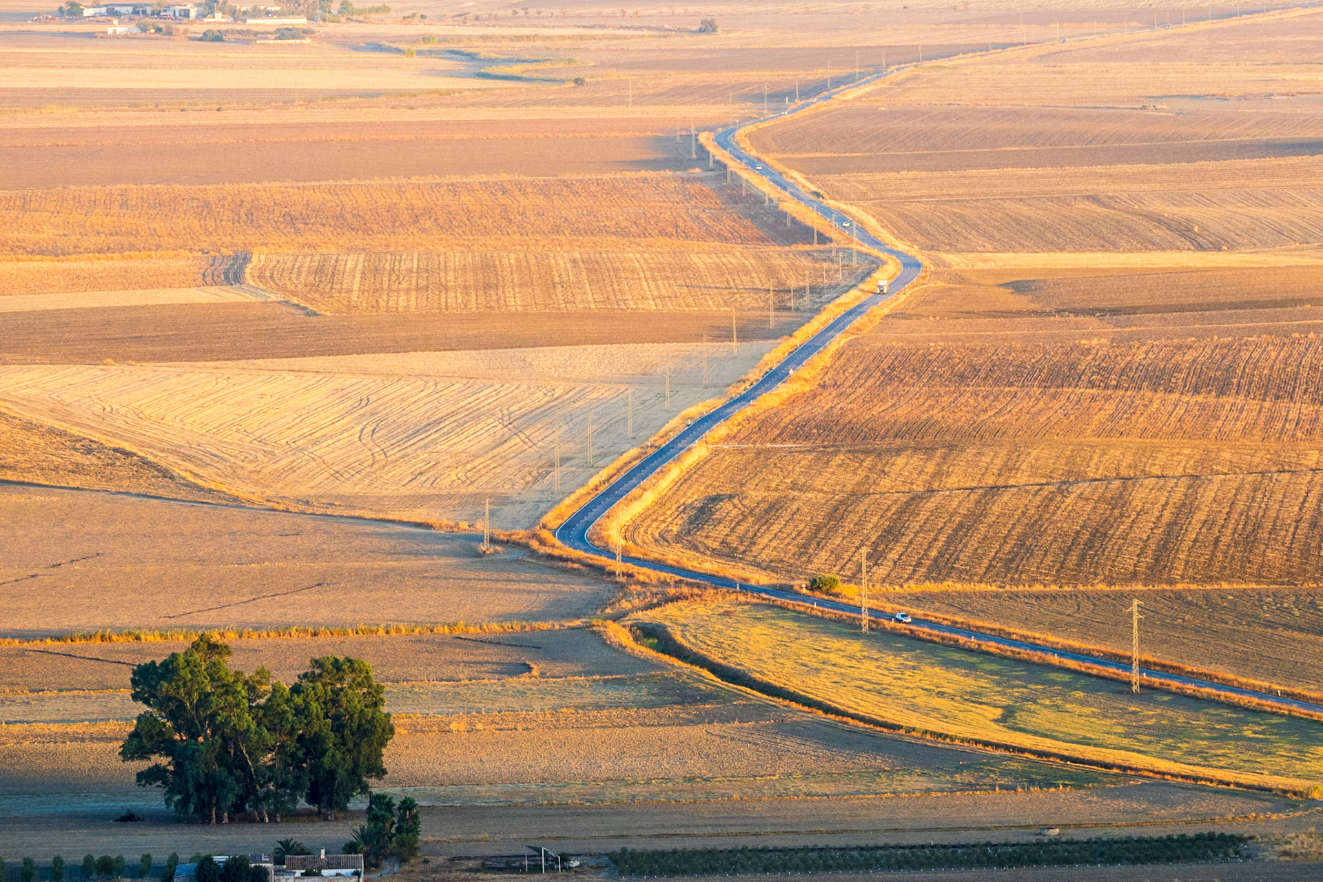 Golden hour transformsCarmona's plains into a mesmerizing tapestry of linesand textures.