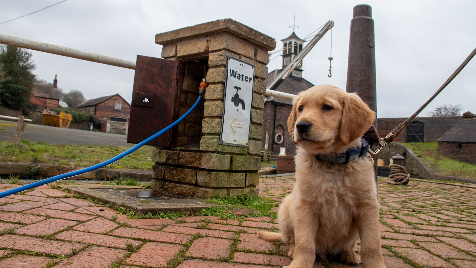 Waterpoint at Hartshill (Coventry Canal)