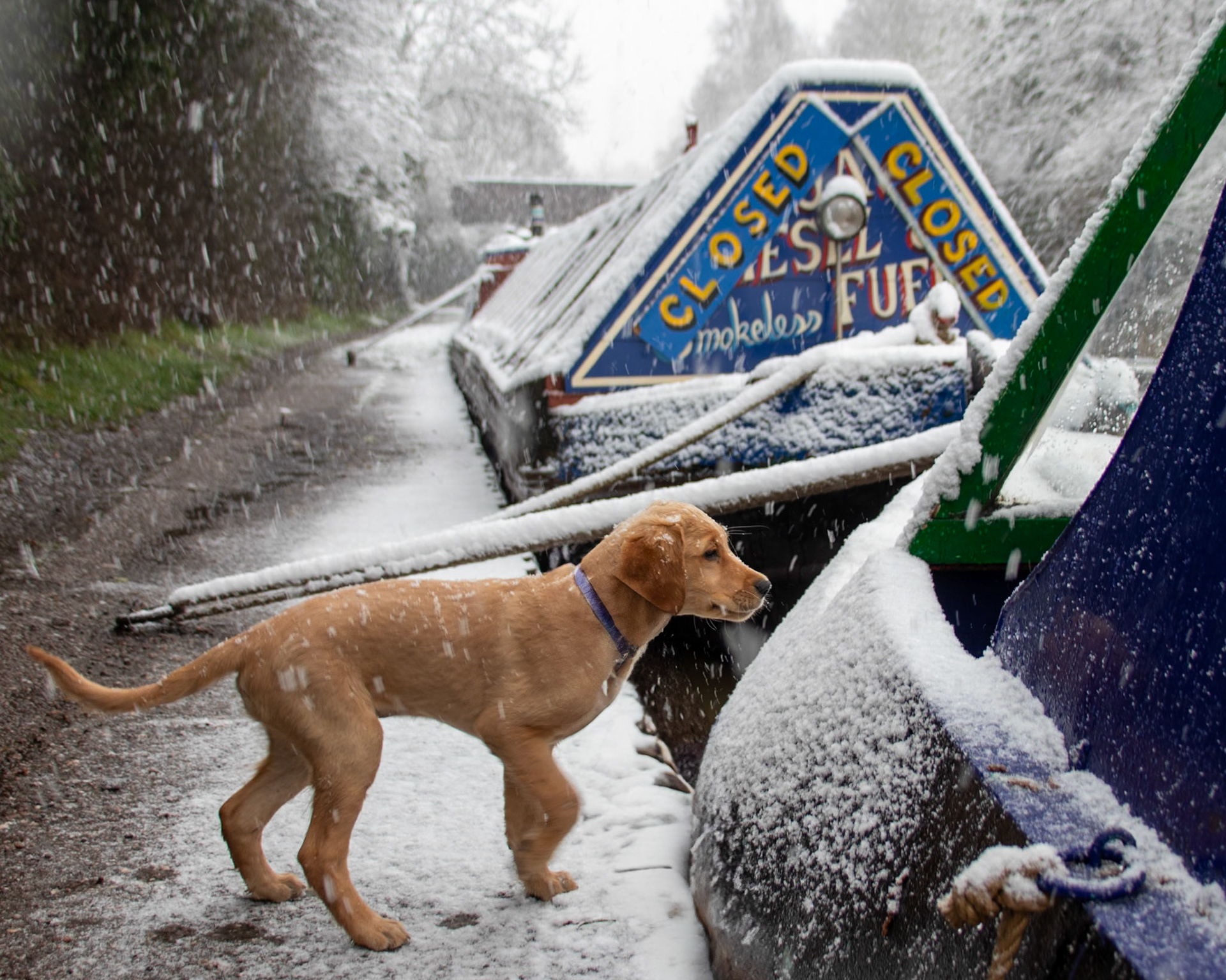Snowing at The Anchor Inn (Coventry Canal)