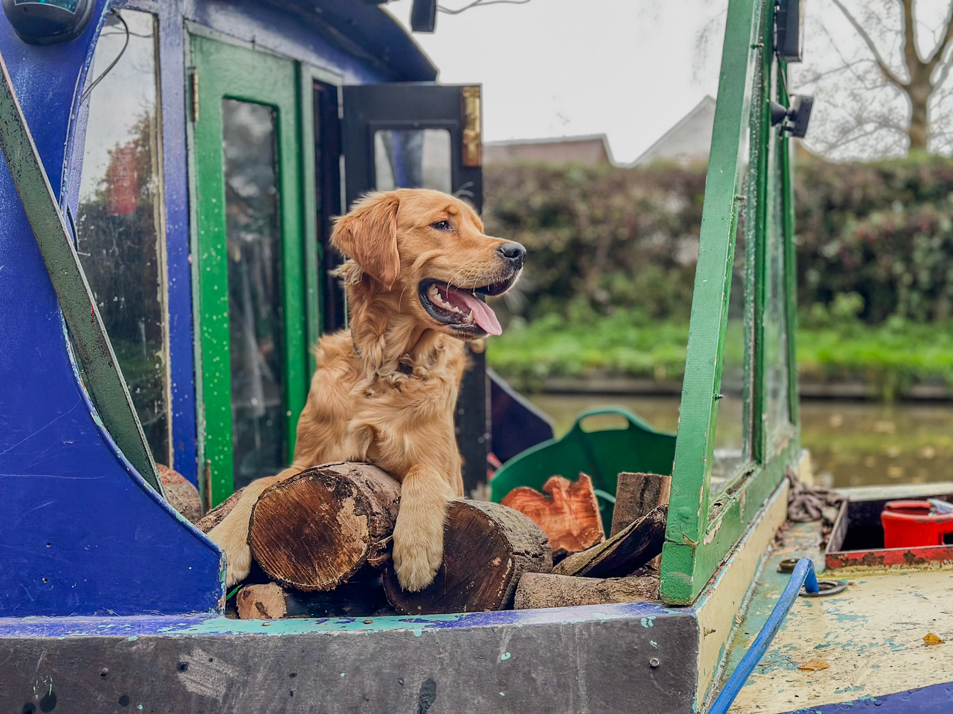Finlay at 52 weeks old