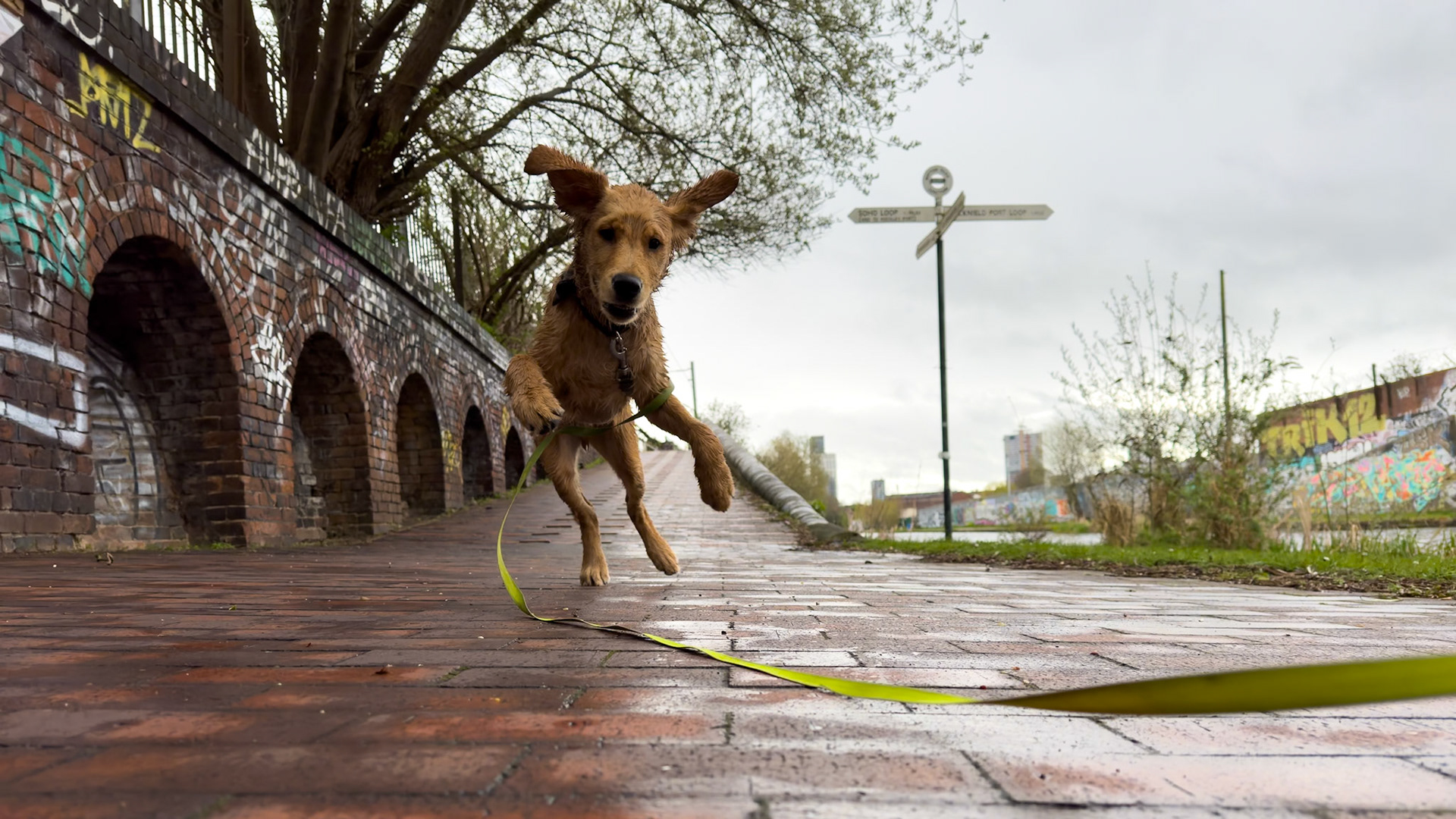 Jumping at BCN Old Mainline Junction