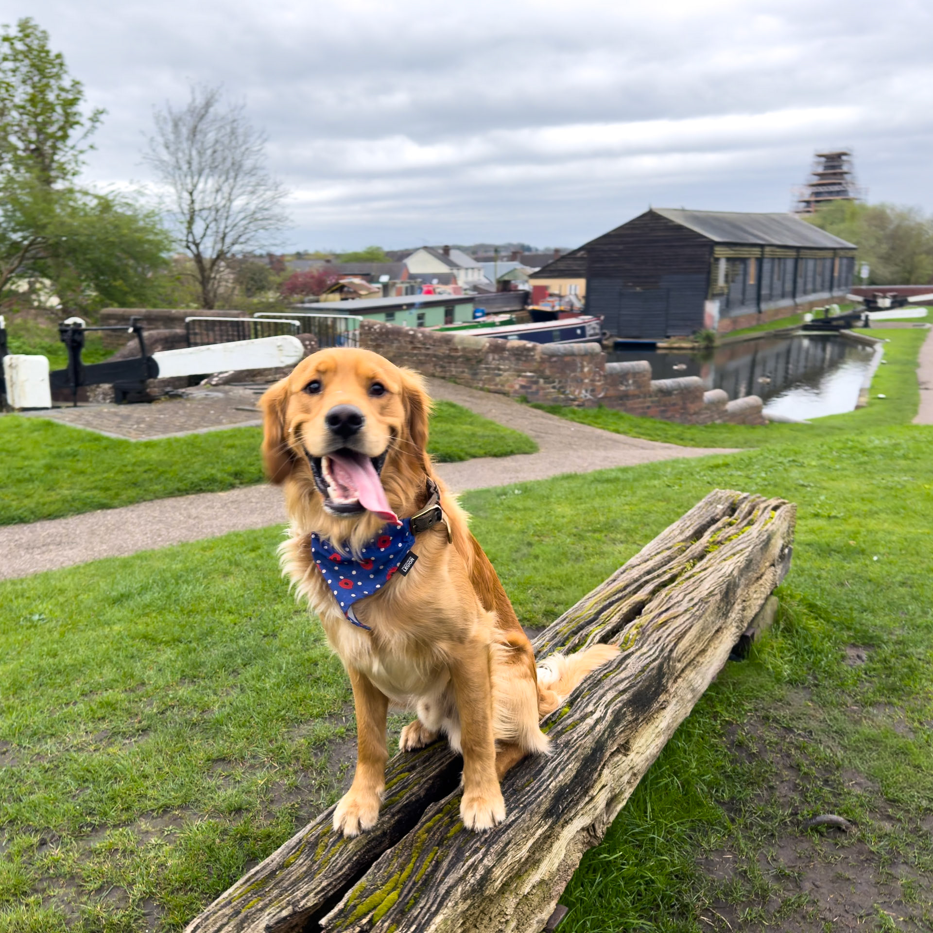Stourbridge Canal near Red House Glass Cone