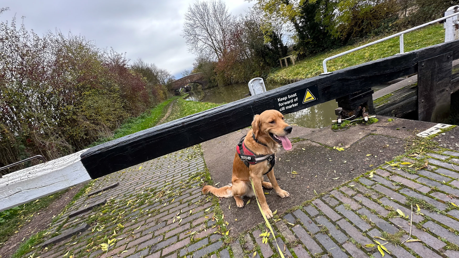 Finlay at 1 year old