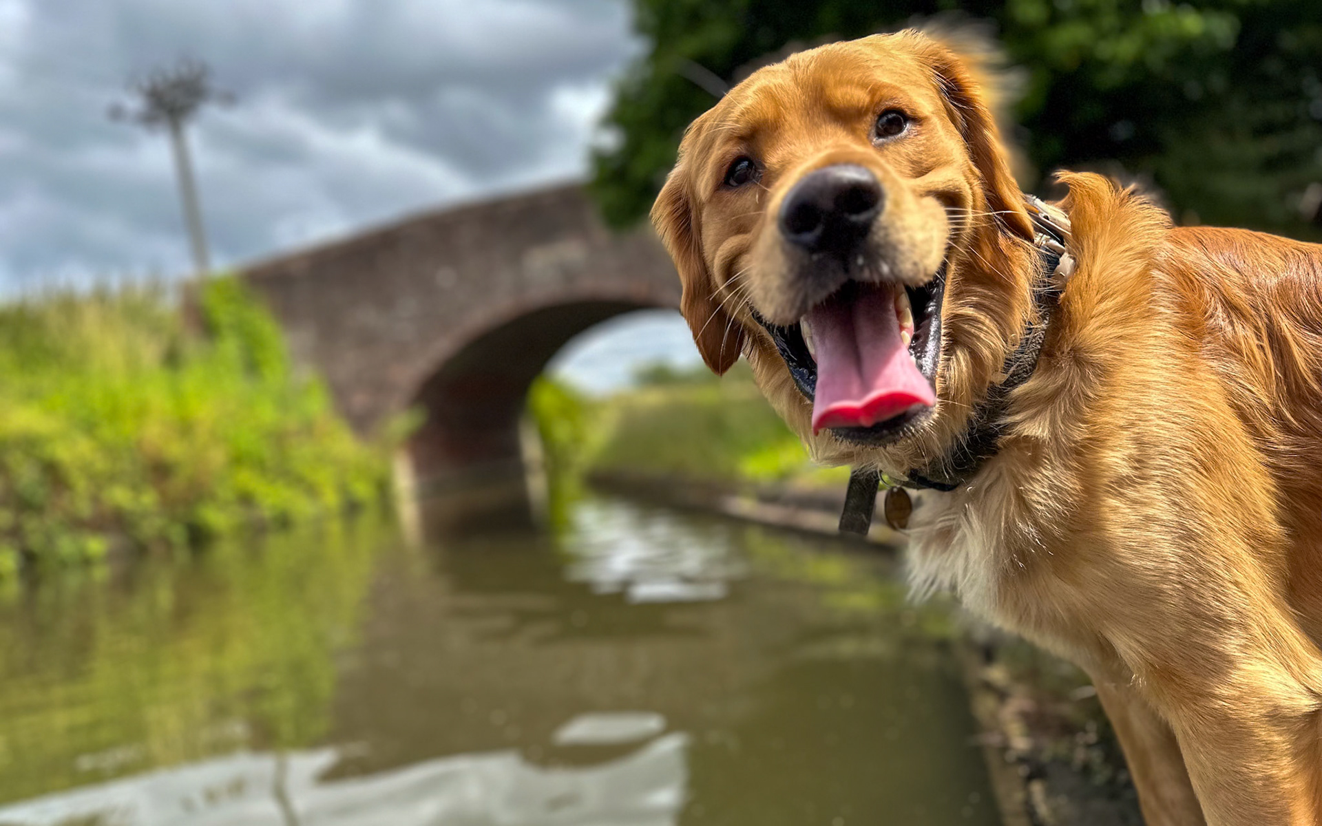 Birmingham and Fazeley Canal at Minworth