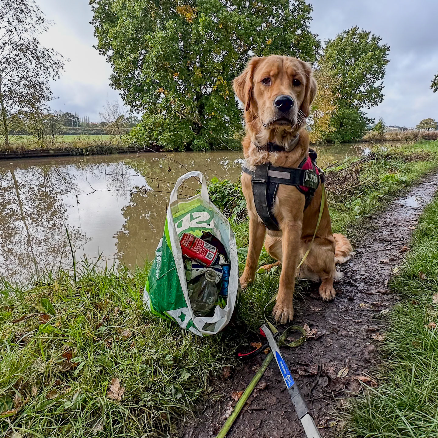 Litter Picking on the Covnetry Canal