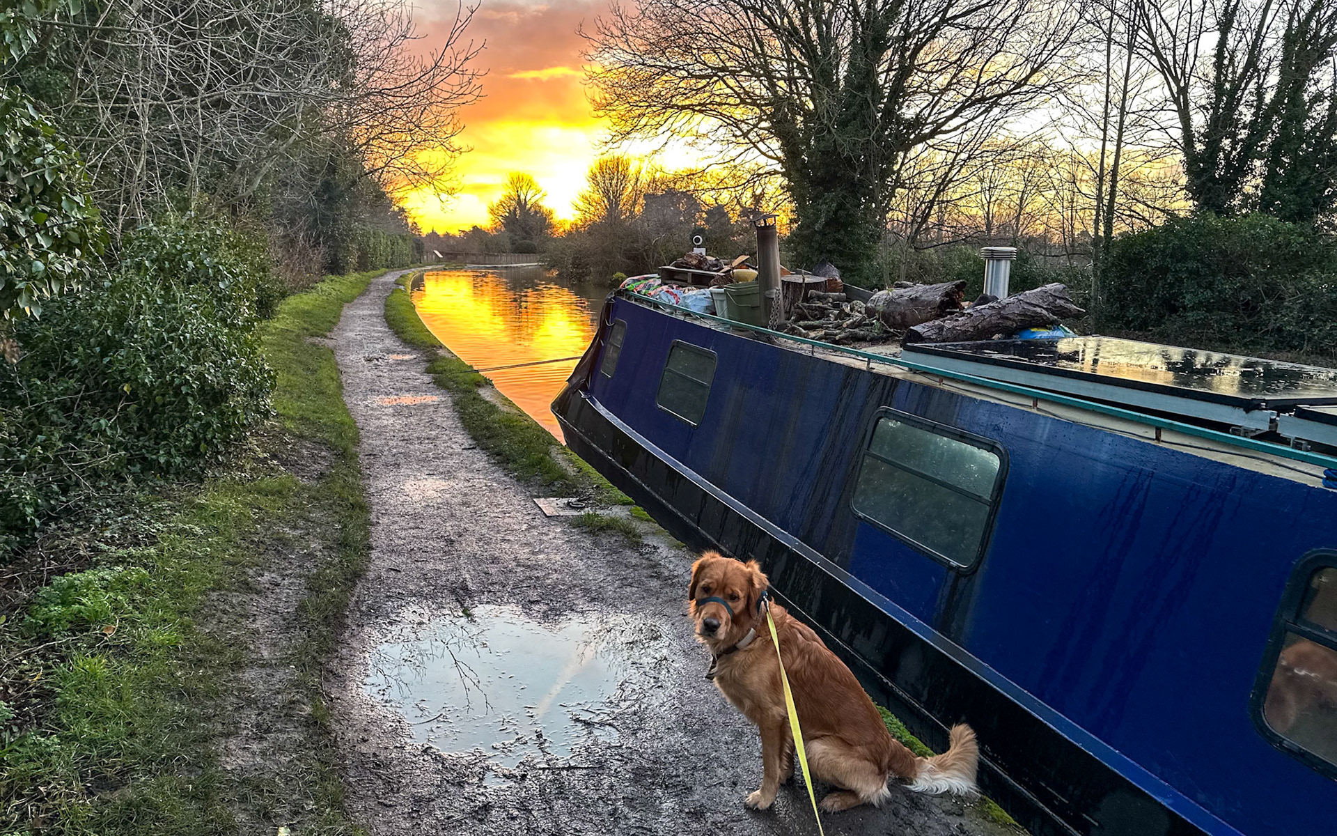 Finlay Red Moonshine watching the sunrise on the Grand Union Canal above the Avon Aqueduct