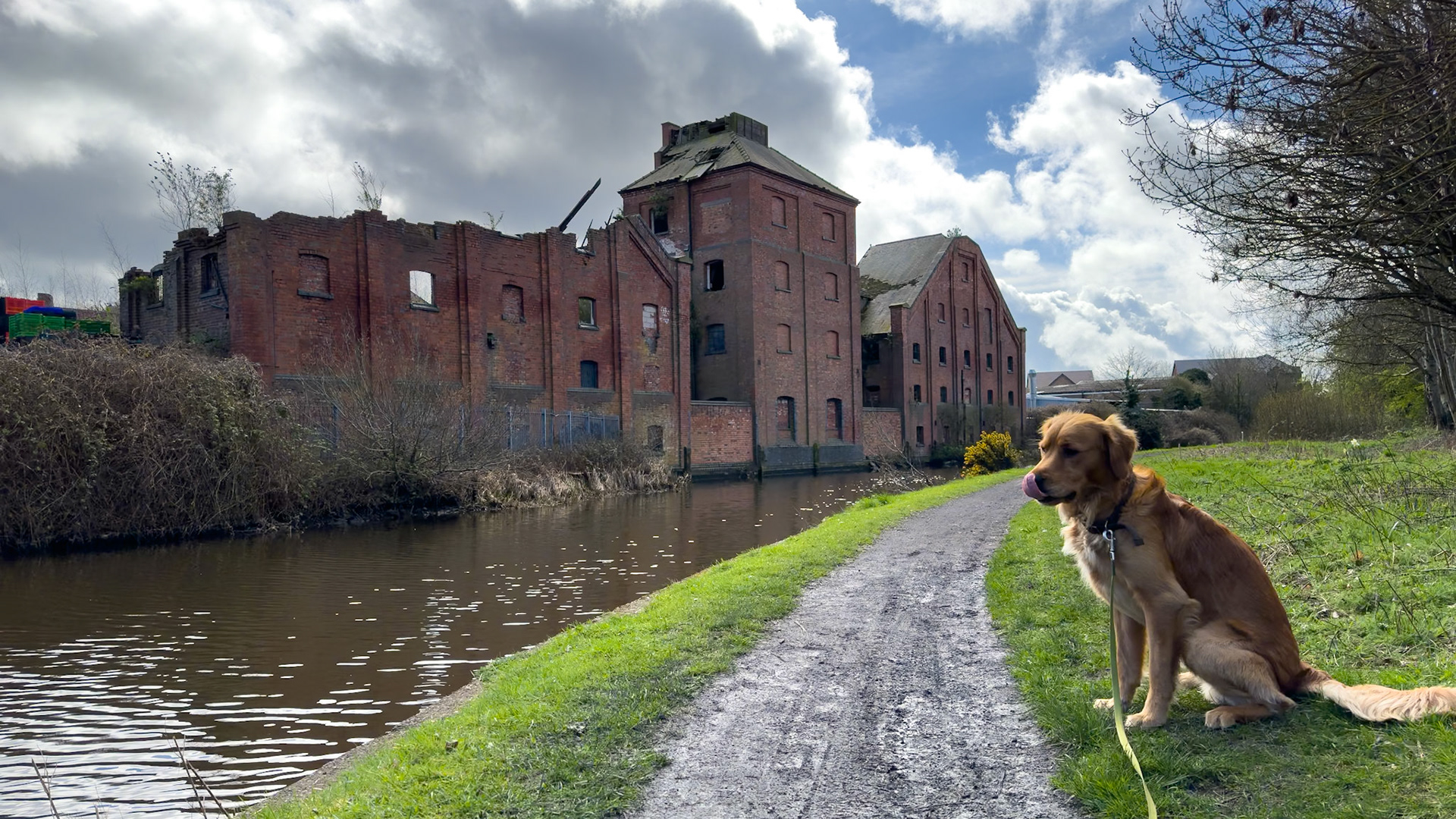 Titford Canal and Langley Maltings