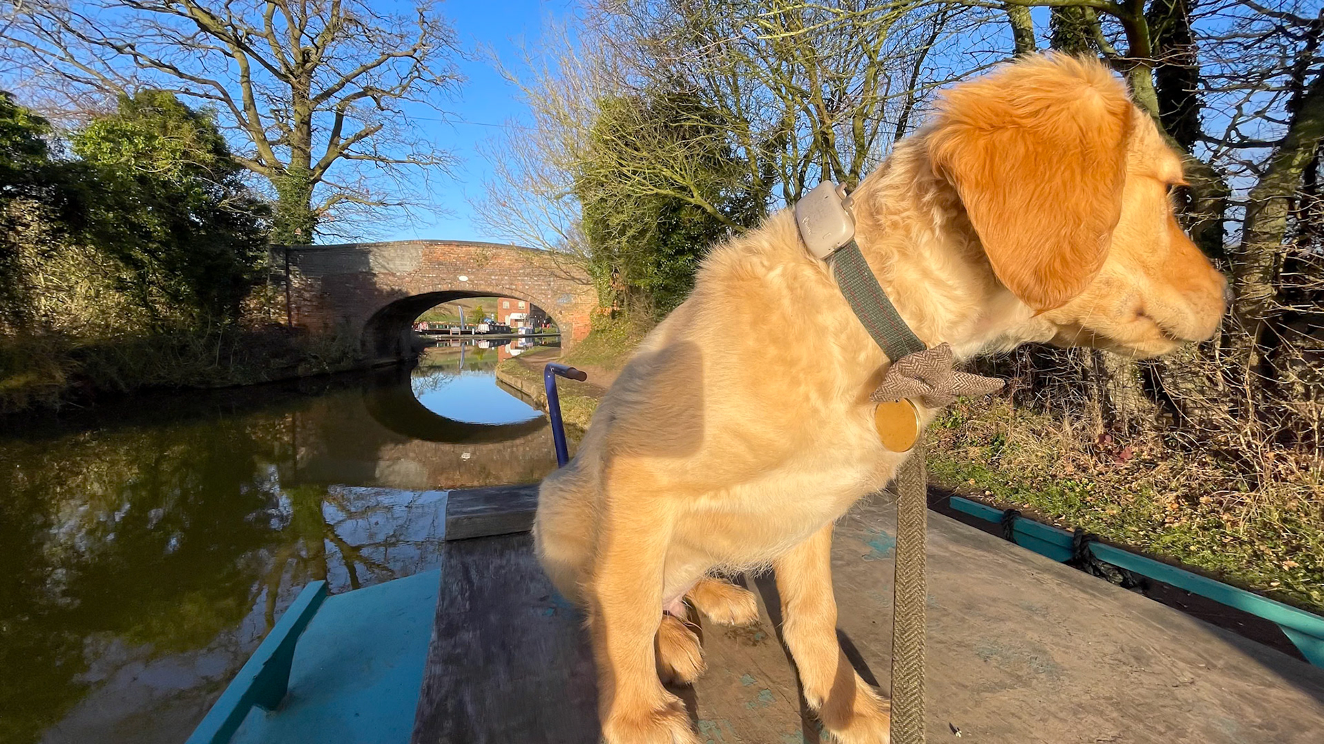 Finlay at 14 weeks old
