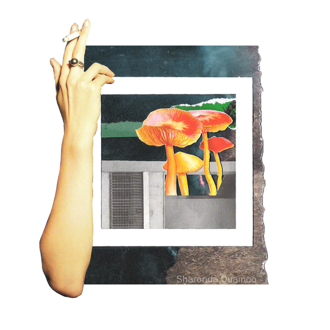 on Shrooms (analogue), 2019
