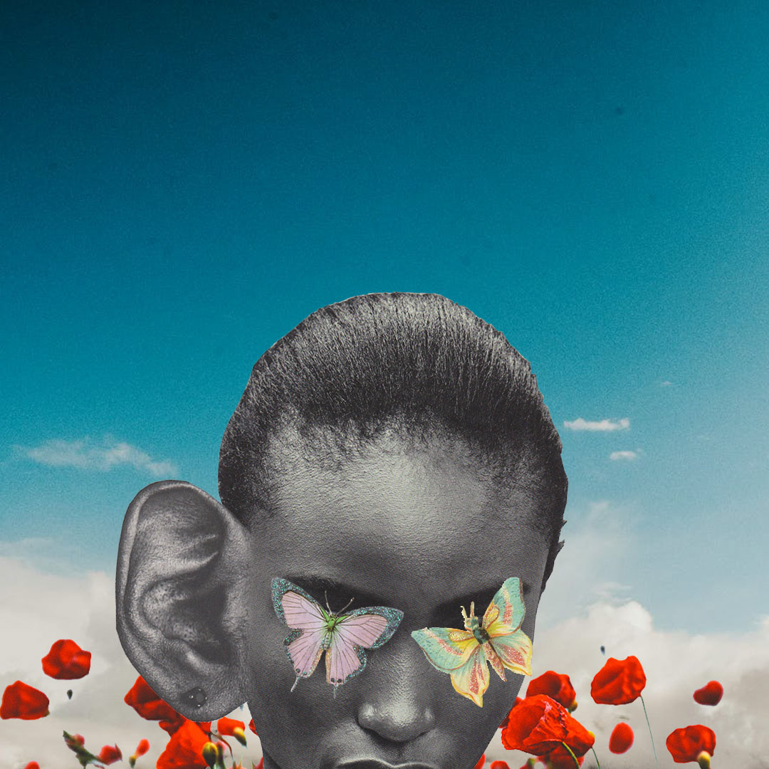 Heard through the grapevine, 2019