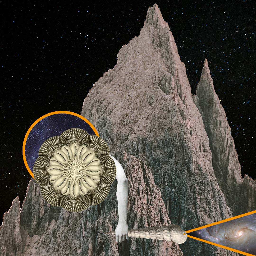 Portals, 2019