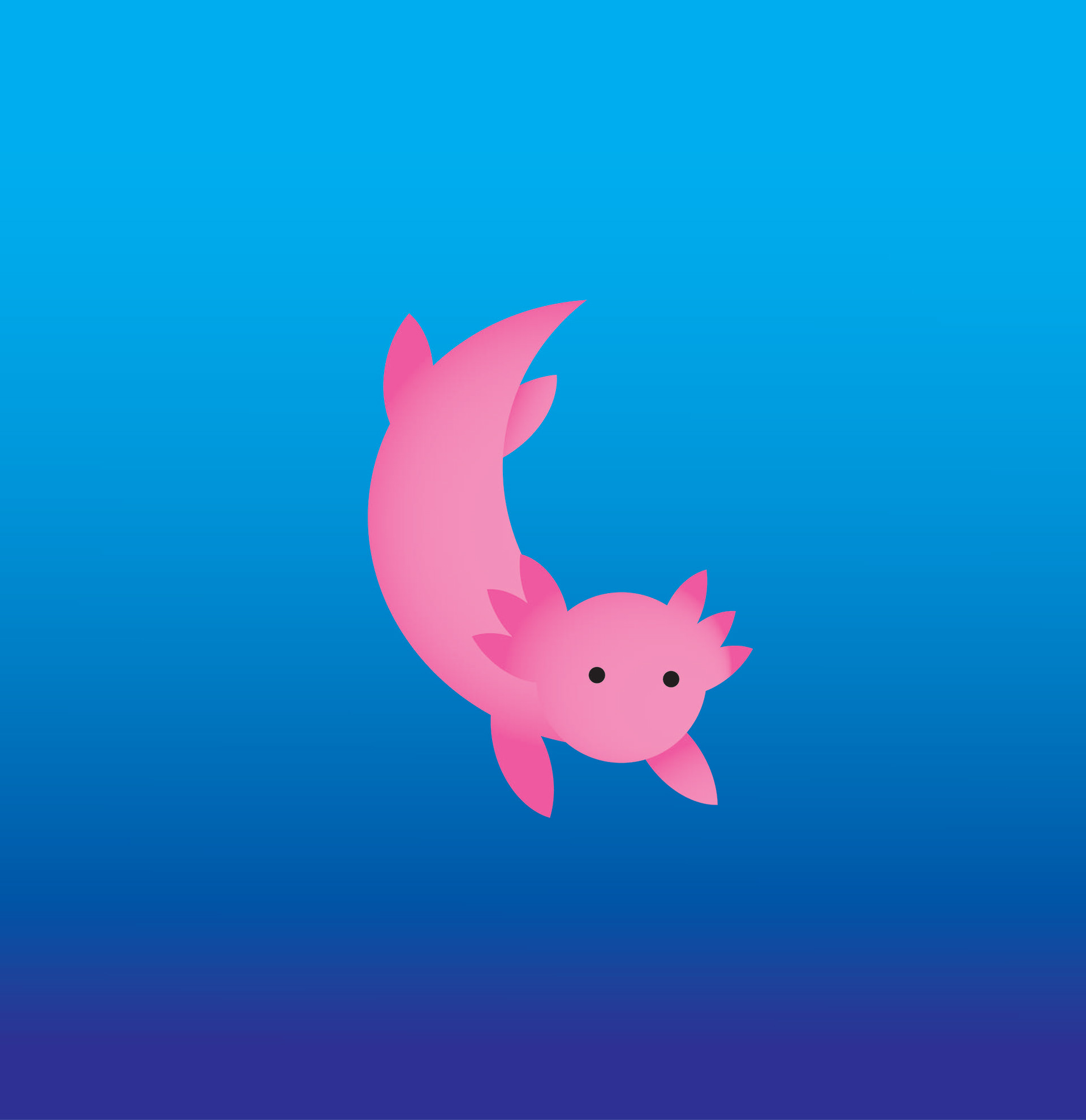Axolotl