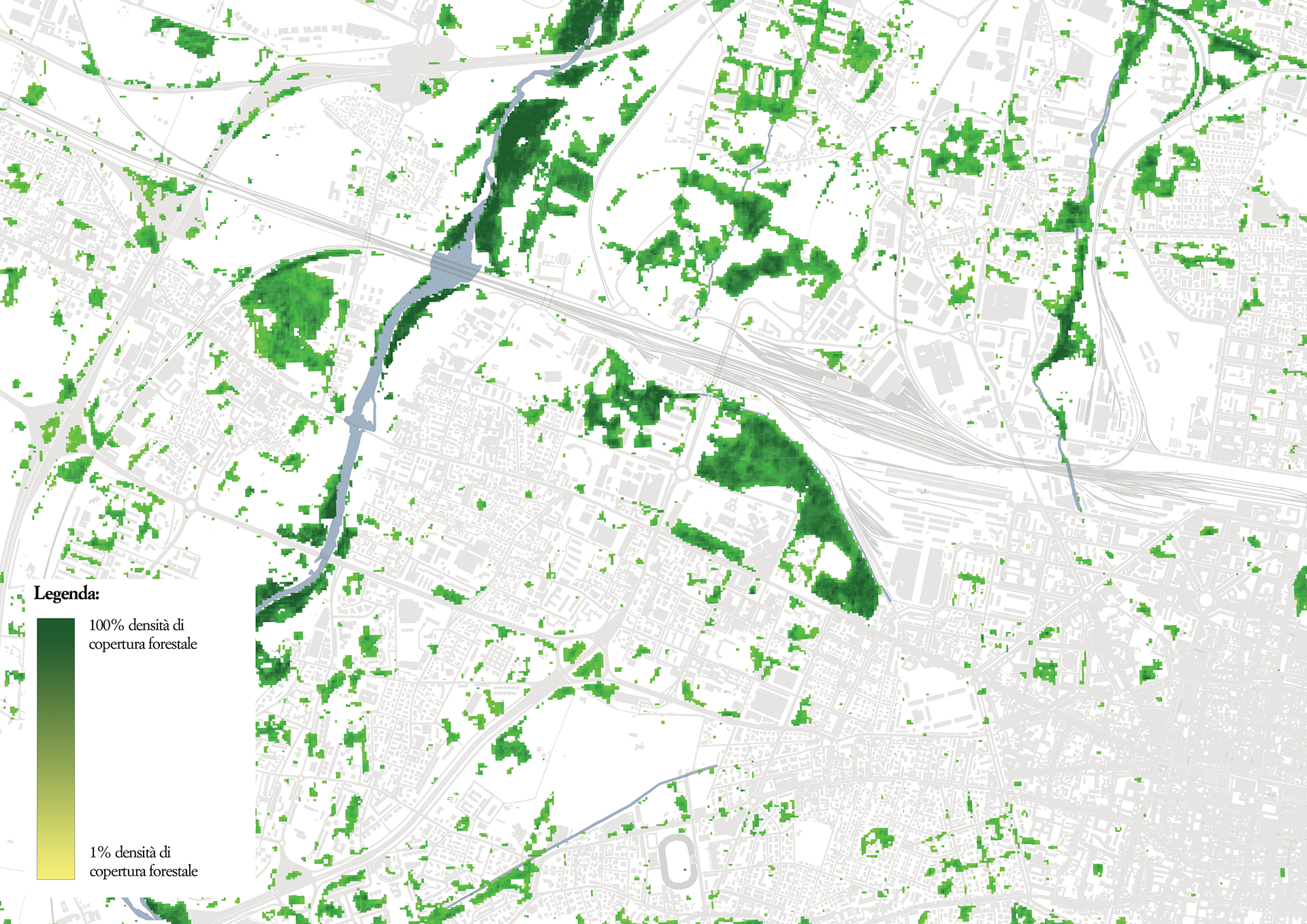 Forest cover