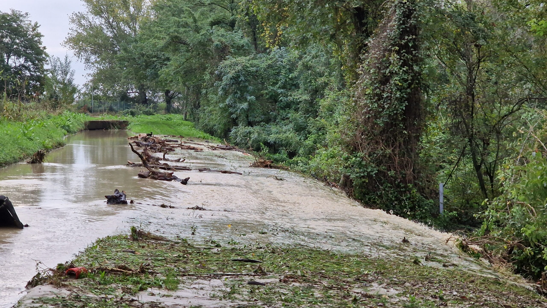 Image from video published by DiRE, National News Agency, The canal overflows towards the Prati di Caprara East area, October 20, 2024