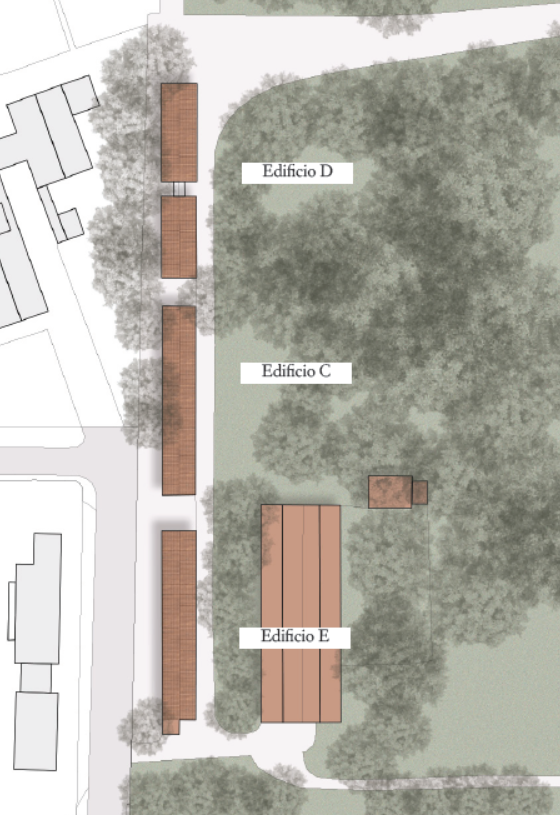 Planivolumetric and contextual integration of the type 1 buildings referred to as C, D, E