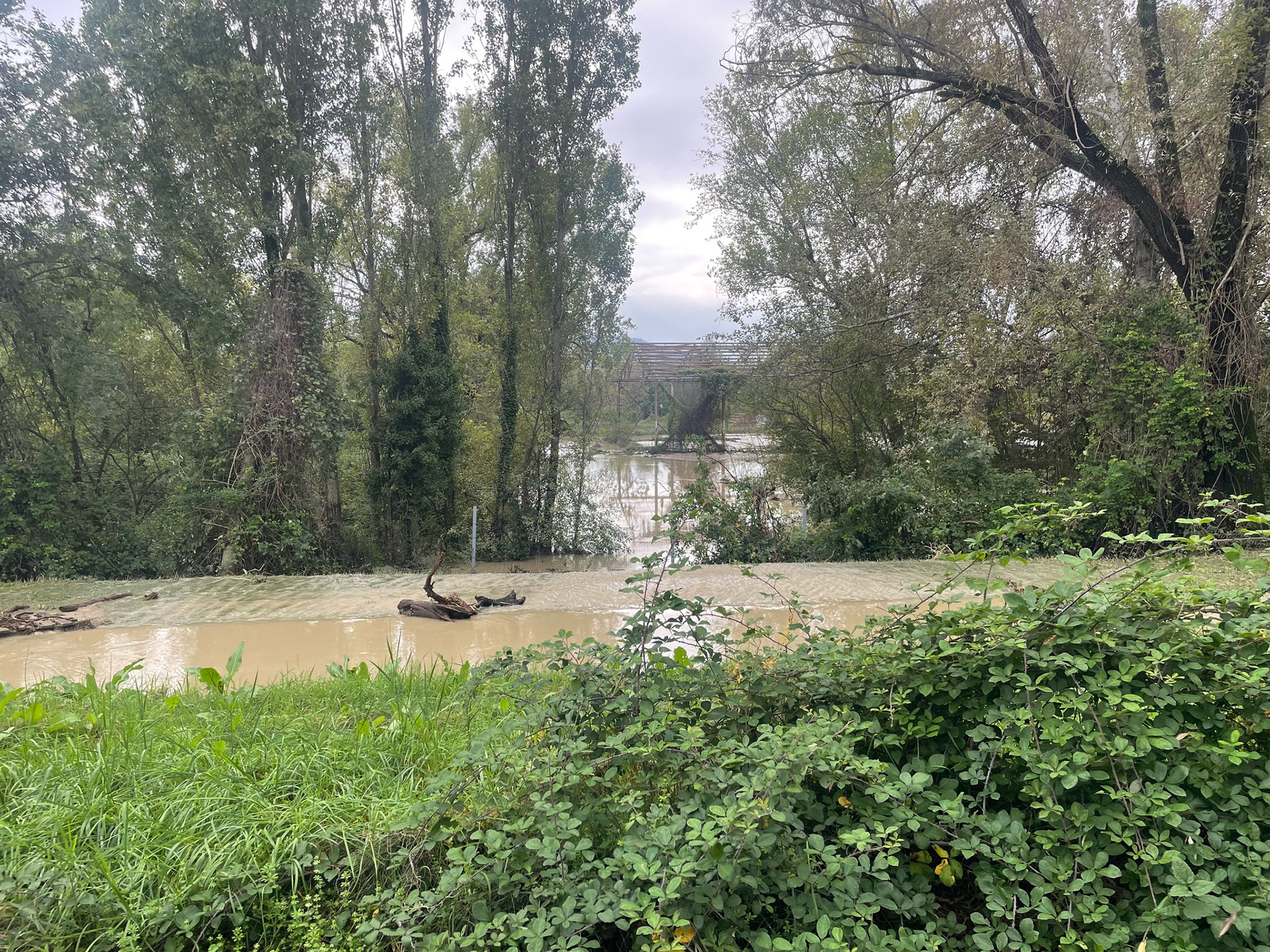 Comitato Rigenerazione No Speculazione, The waters of the Ravone flood the shelter area in Prati di Caprara East, October 20, 2024