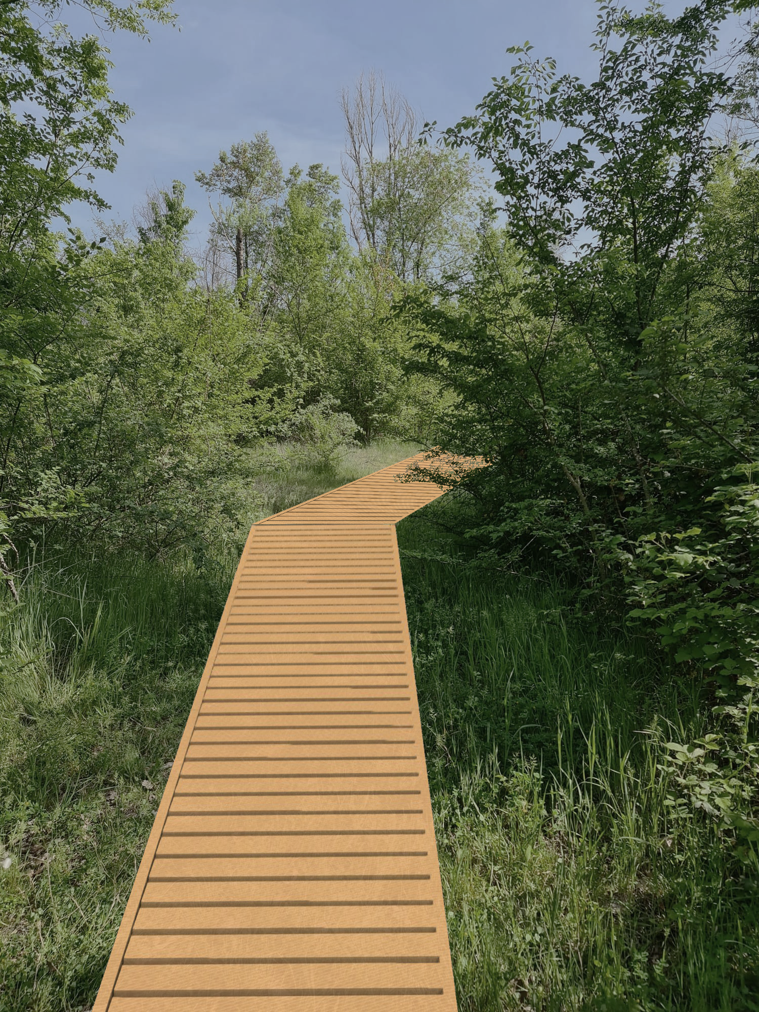 View of a wooden walkway through the urban forest of the Prati di Caprara