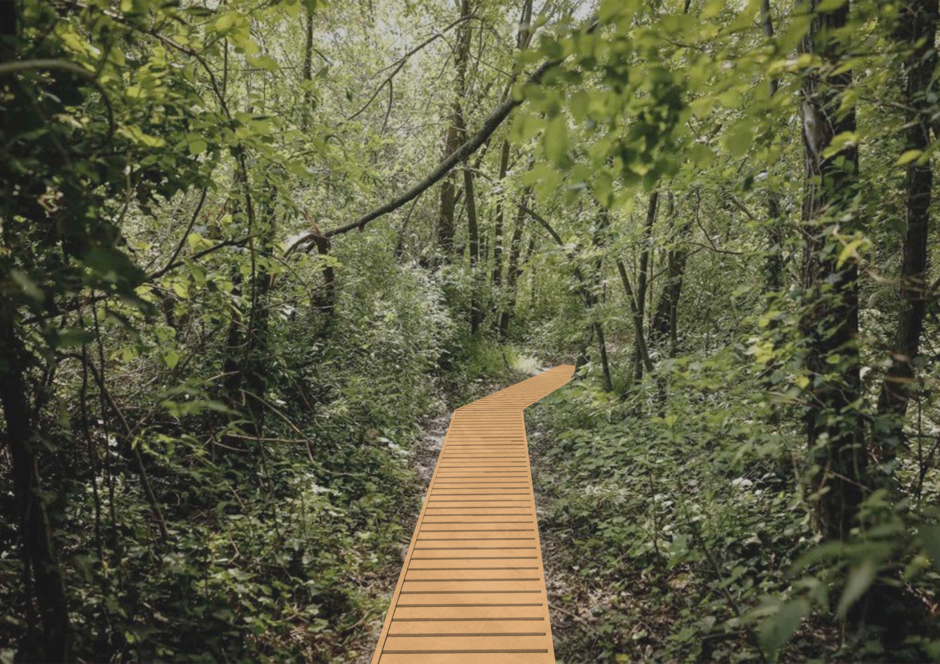 View of a wooden walkway through the urban forest of the Prati di Caprara