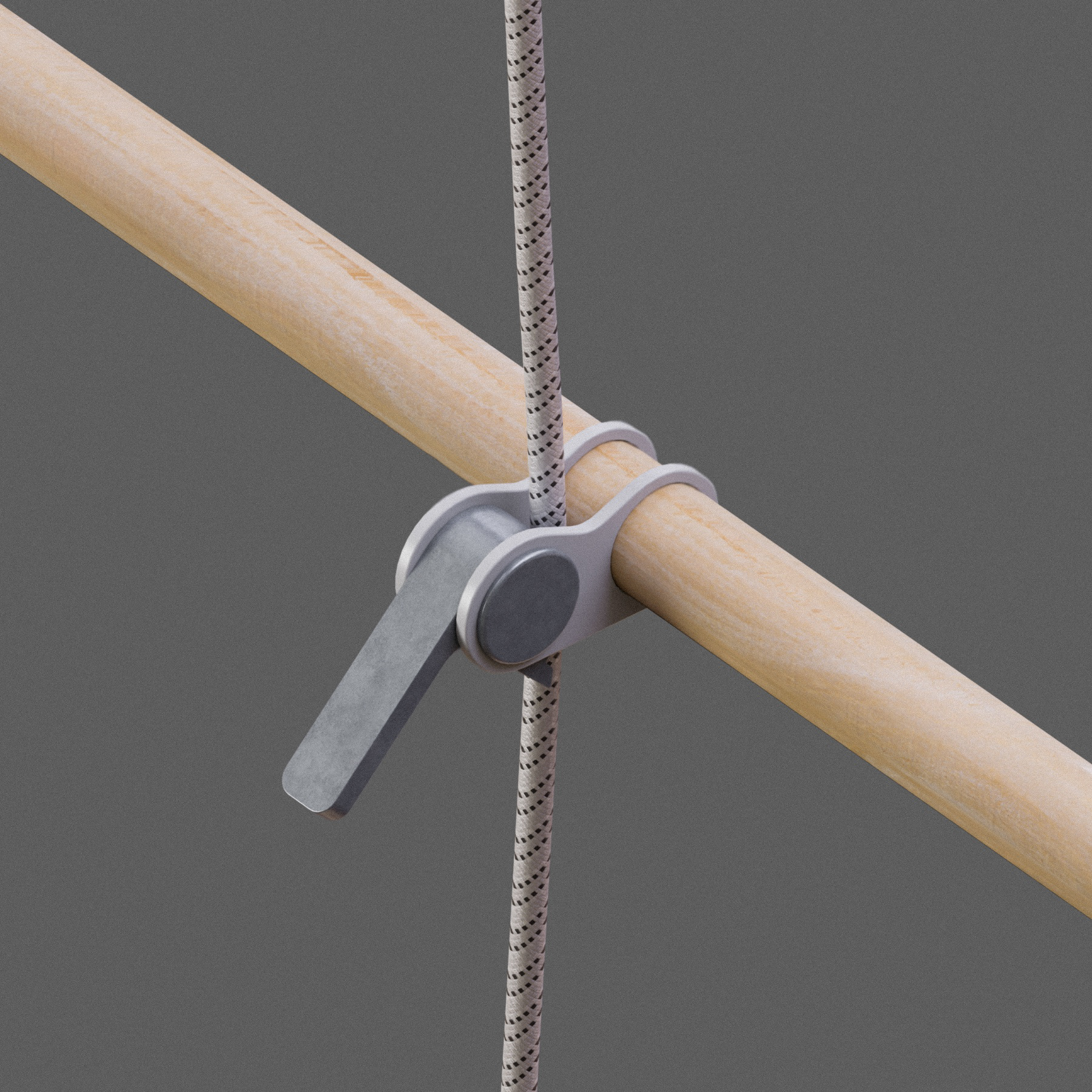 An arborists' clamp secures the rope.