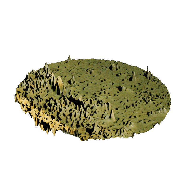 02: The focal data of the recording is translated into a depth map, resulting in 3D topology of the sample.