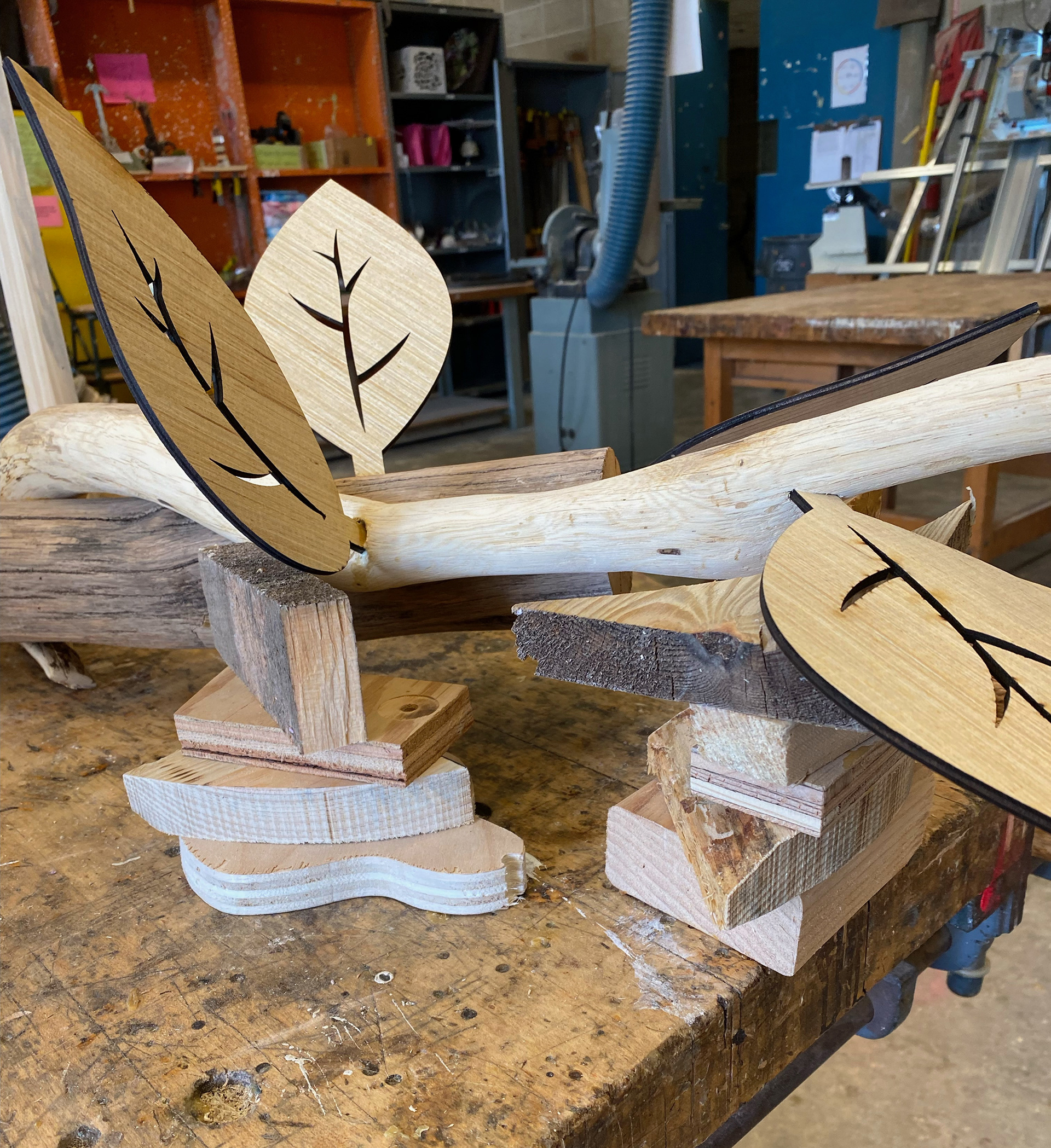  Placement for leaves to dry