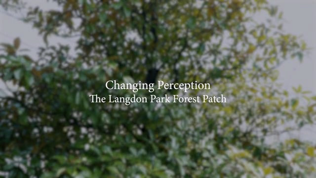 Image from Short Documentary Changing Perception: The Langdon Park Forest Patch