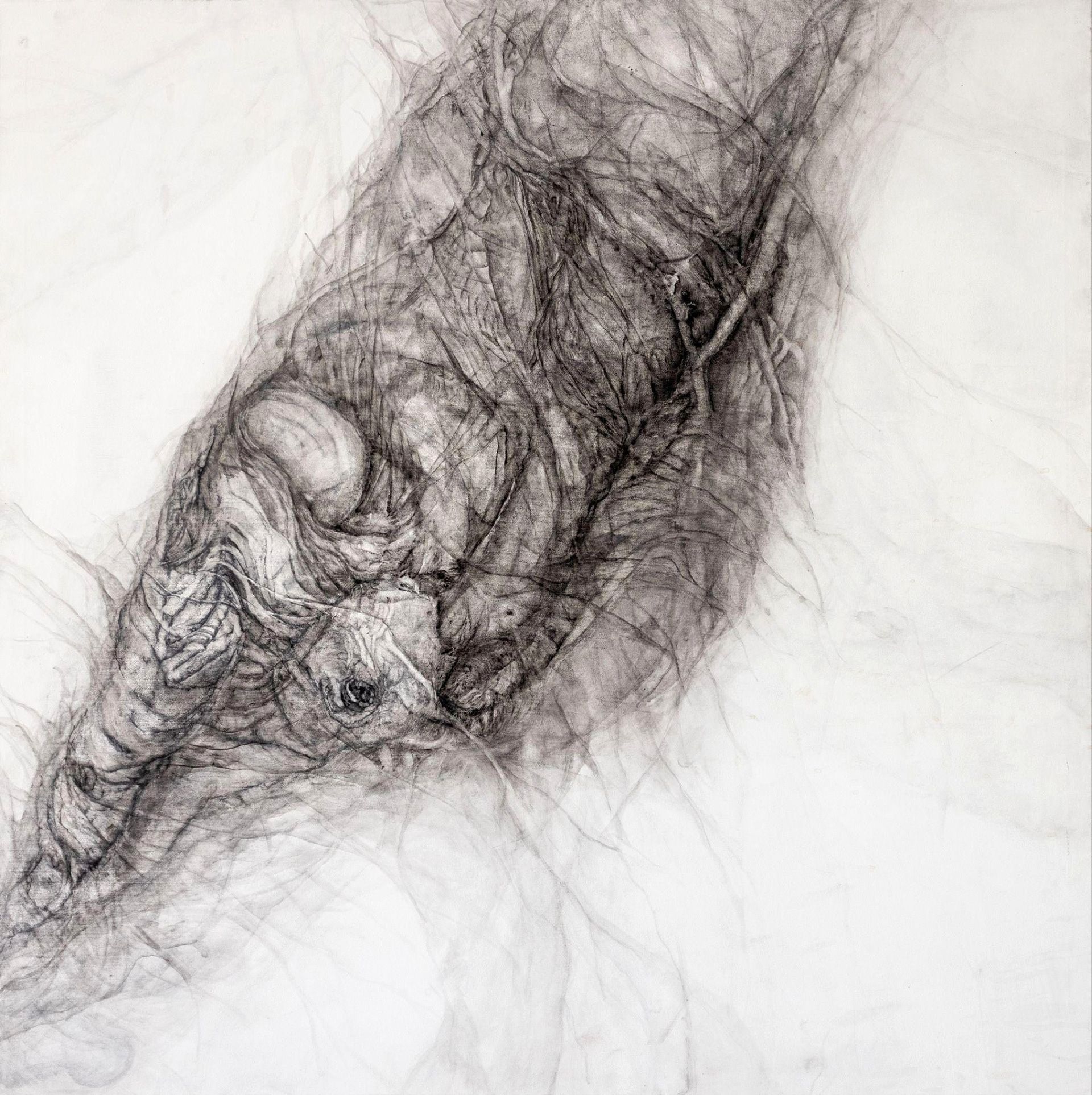 Inner Territories 1.0 | 2023 | Charcoal on canvas | 100x100 cm