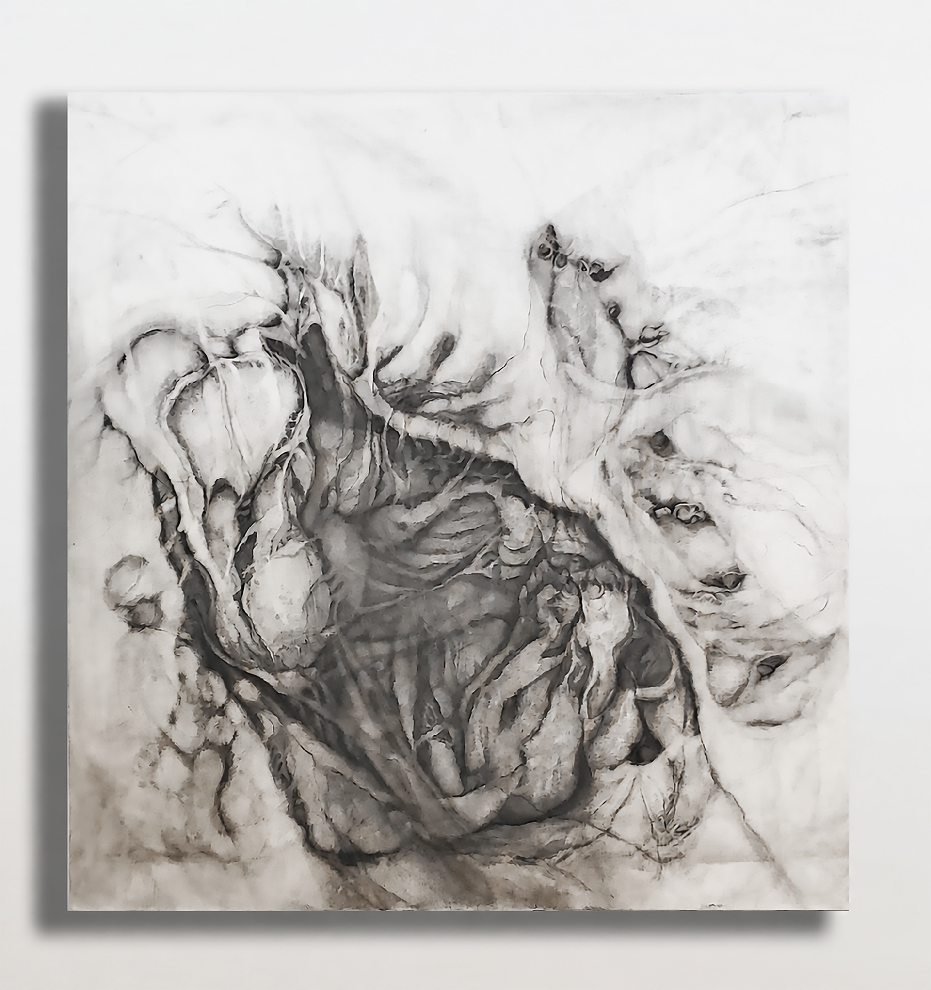 Inner Territories 9.0 | 2026 | Charcoal on canvas | 100x100 cm