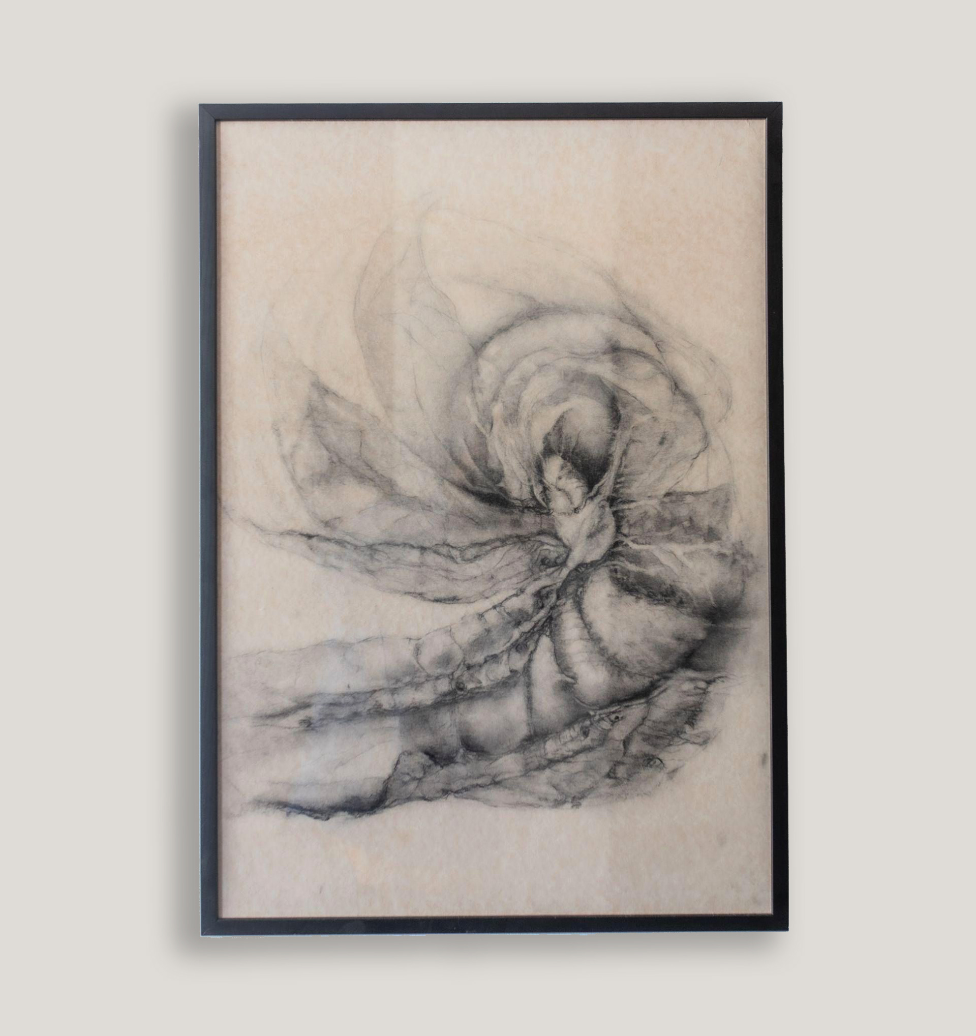 Inner Territories 2.0 | 2023 | Charcoal on canvas | 71x51 cm