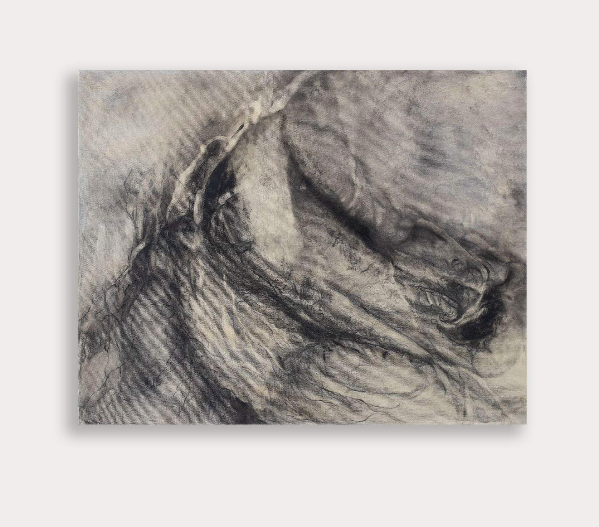 Inner Territories 6.0 | 2023 | Charcoal on canvas | 50x40 cm
