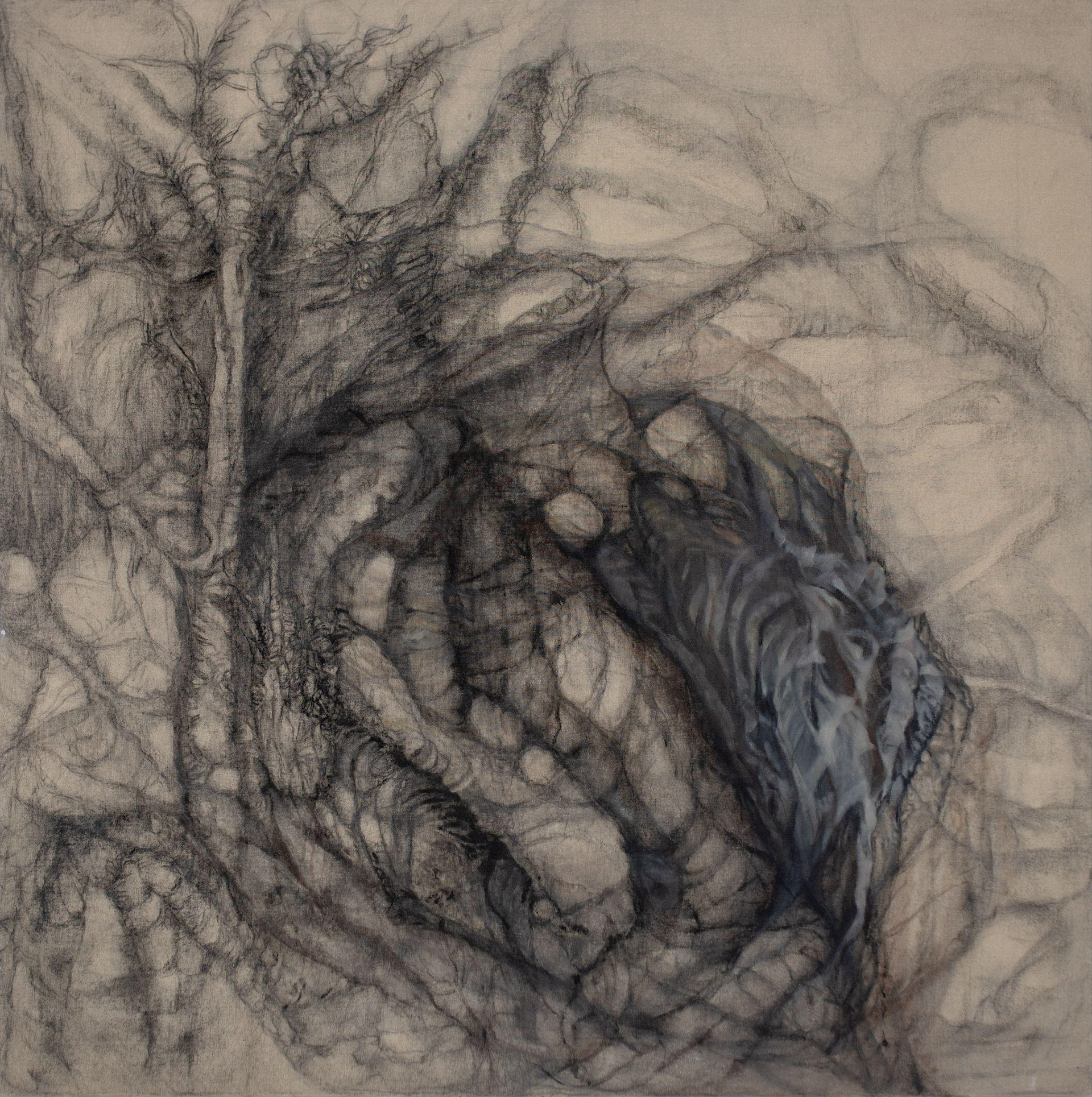 Untitled 1.0 | 2023| Charcoal on canvas | 120x120 cm