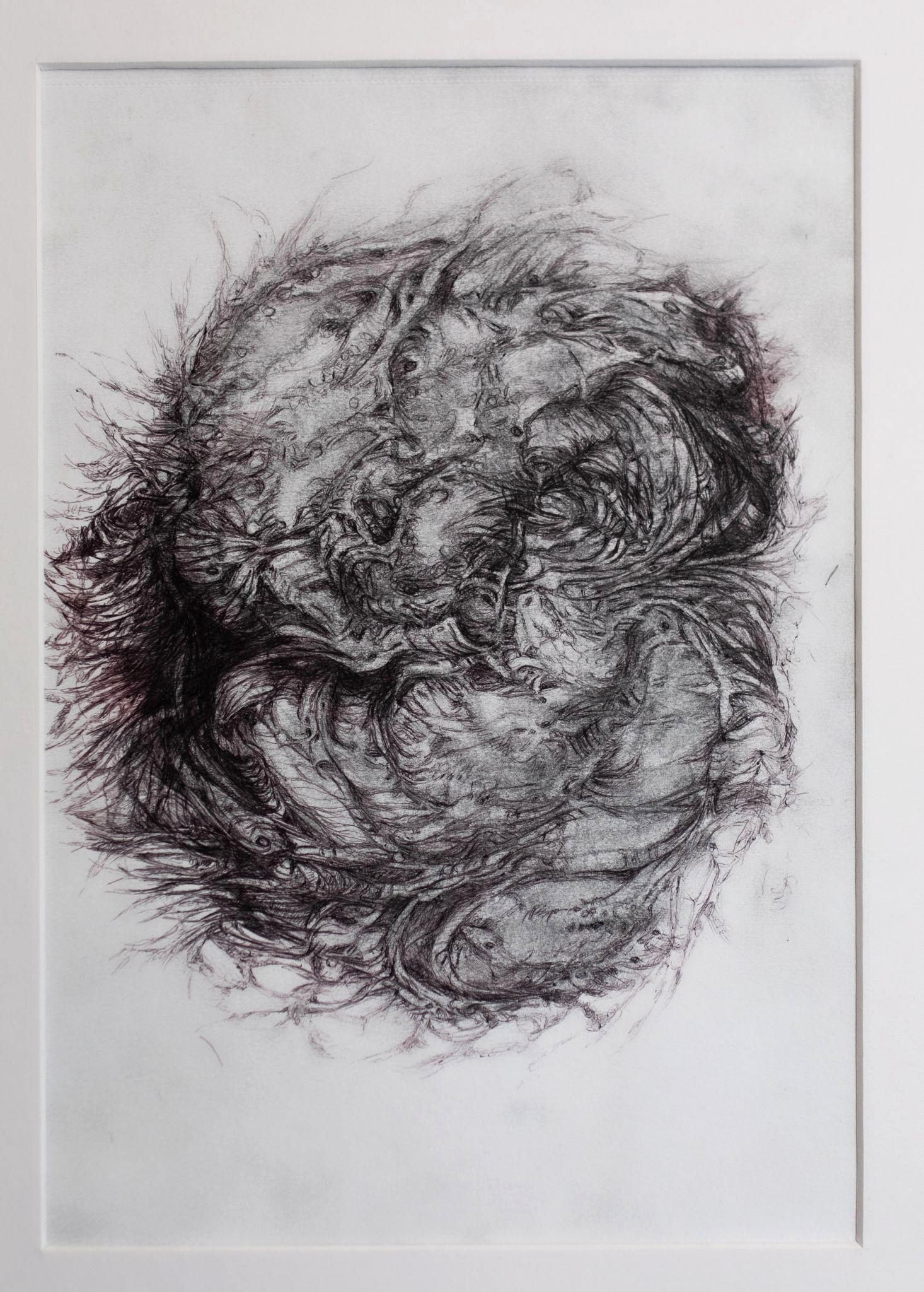 Inner Territories 7.0 | 2023 | Charcoal on canvas | 28.5x19.5 cm