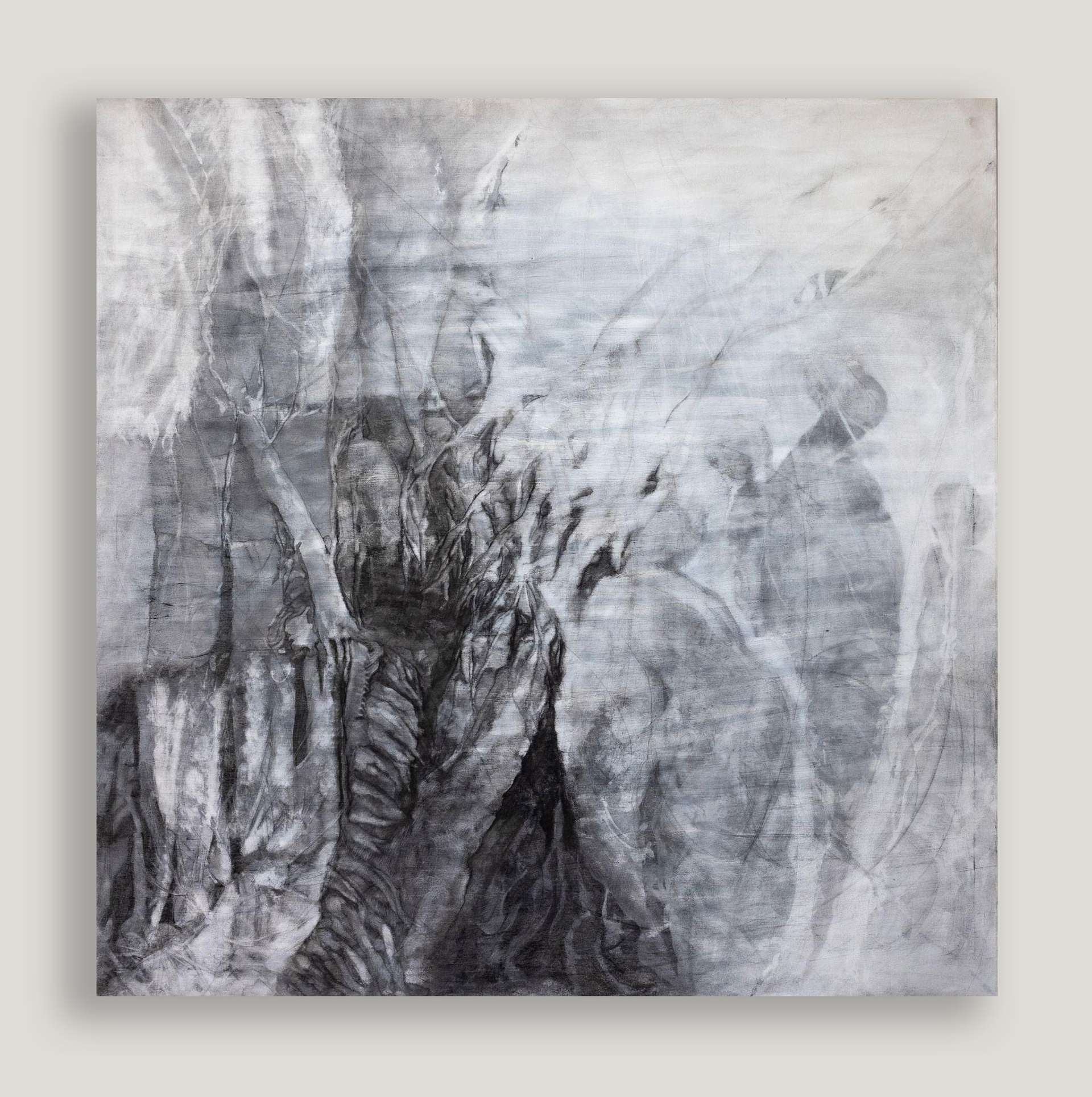 Inner Territories 4.0 | 2023 | Charcoal on canvas | 100x100 cm
