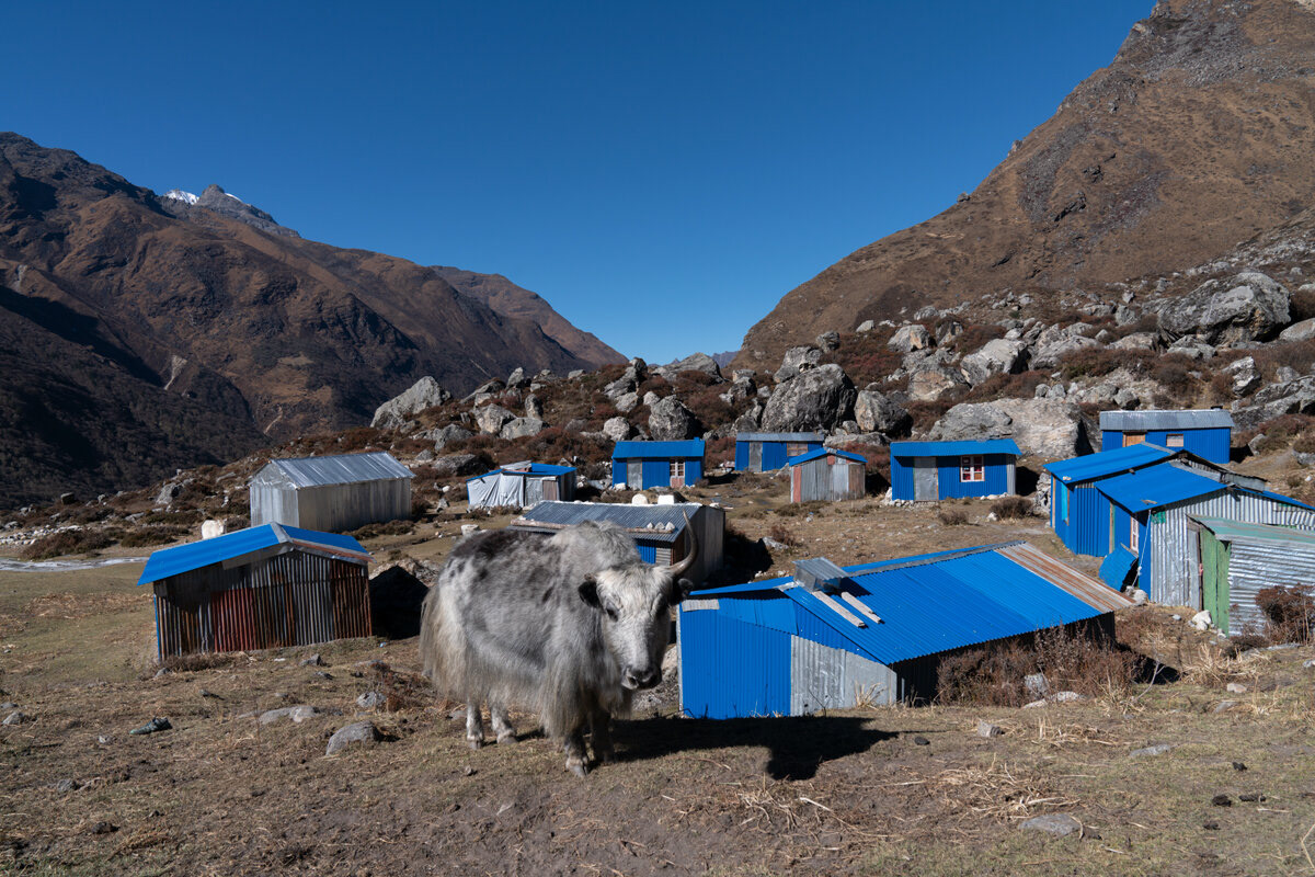 the newly rebuilt village of Langtang after the 2015 earthquake buried the original town