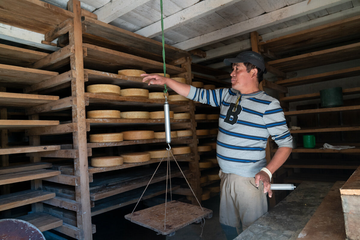 Inside the factory, Santosh shows off the wheels of aged Yak cheese