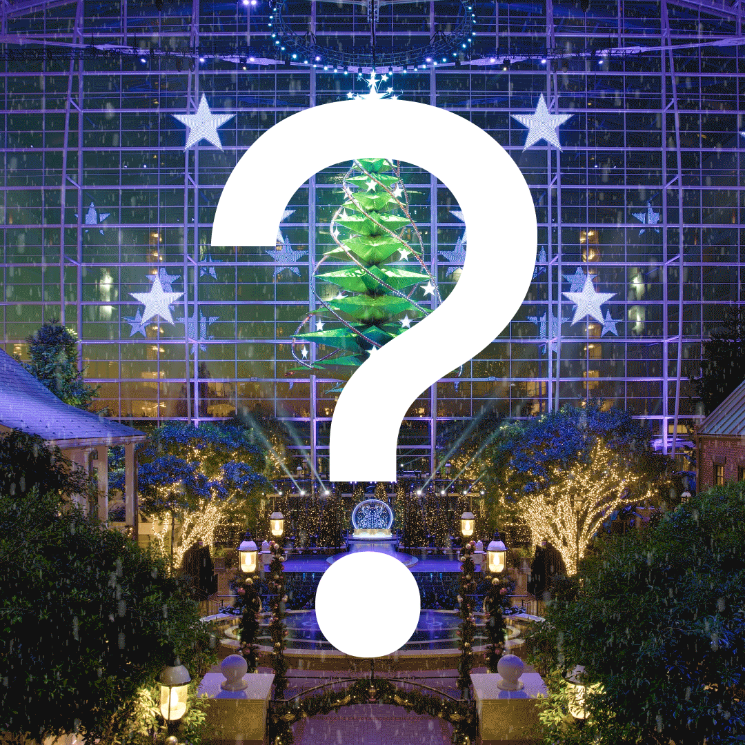 Teaser animated post for Gaylords National Resort's ICE!