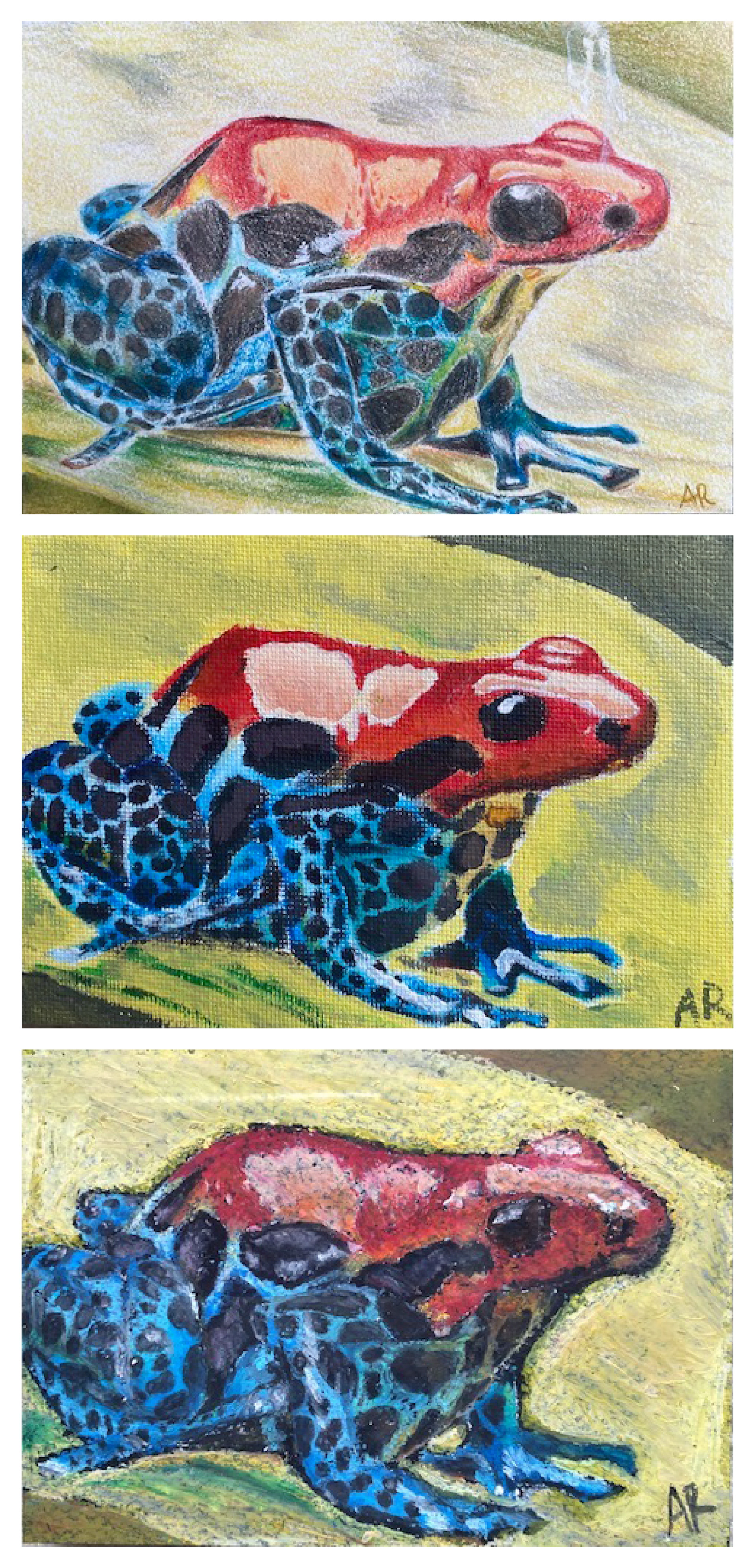 Multimedia frog study using colored pencil, acrylic, and pastel