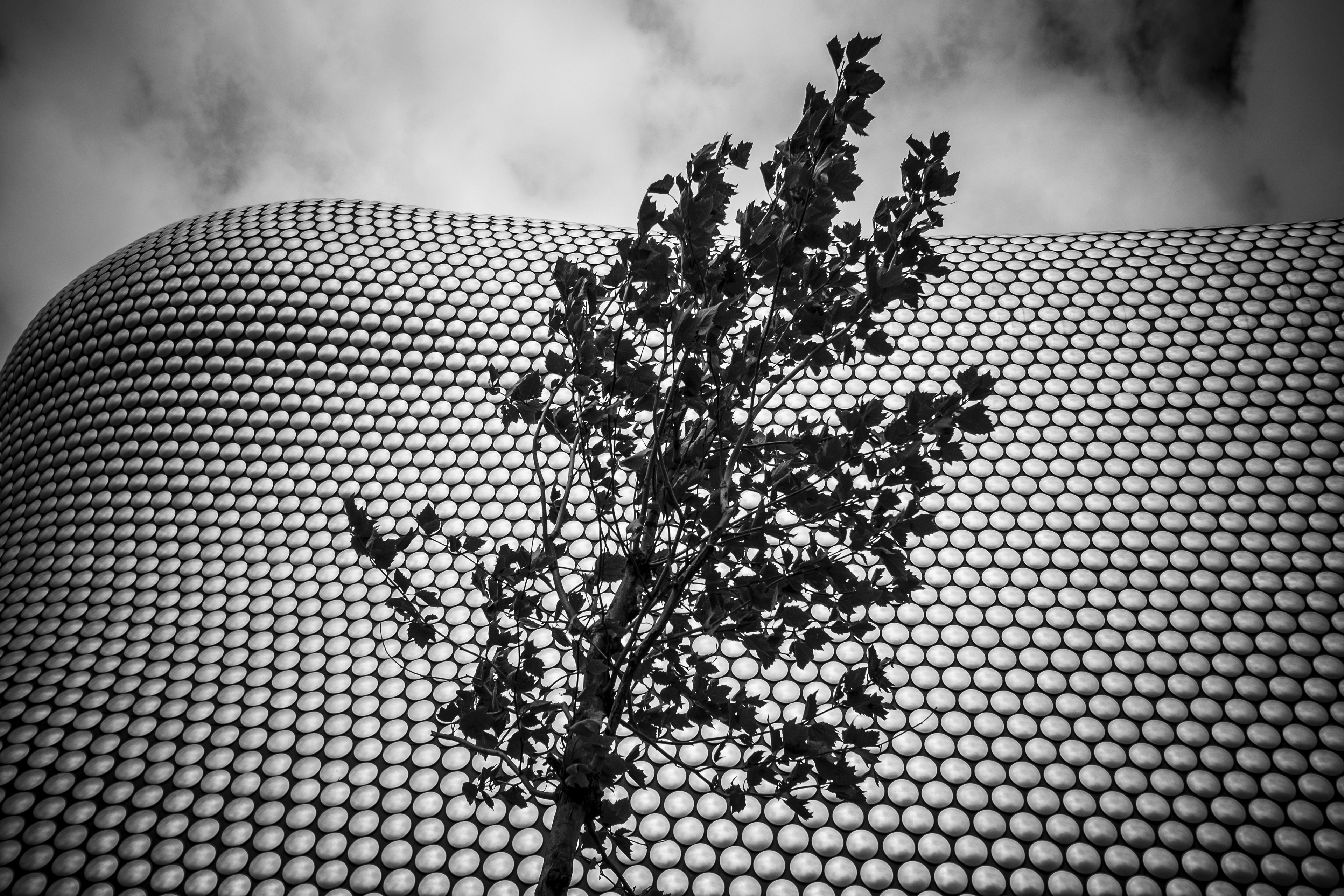 Iconic department store Selfridges in Birmingham.
