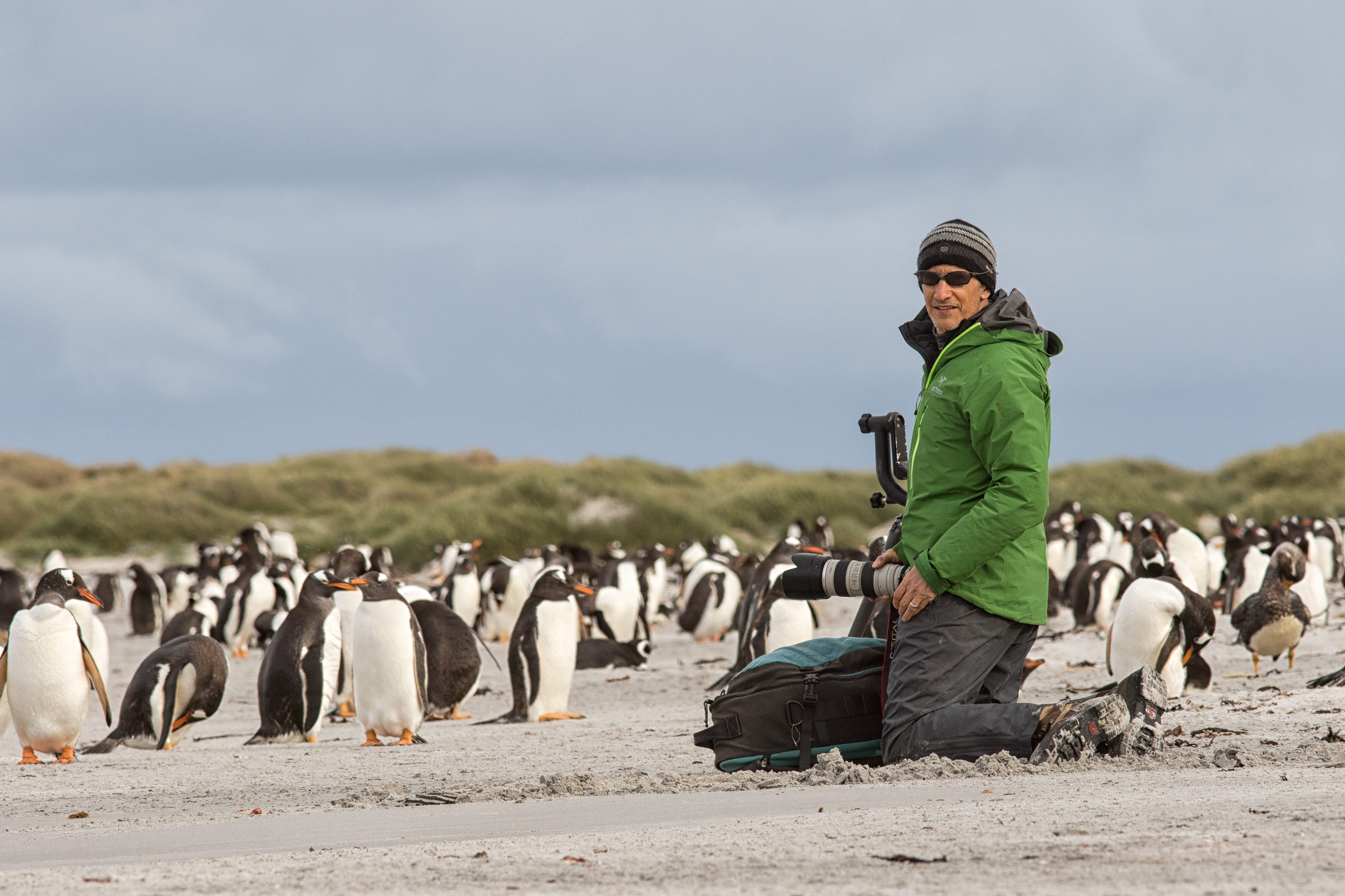 David surrounded by Gentoo Penguins - Falklands