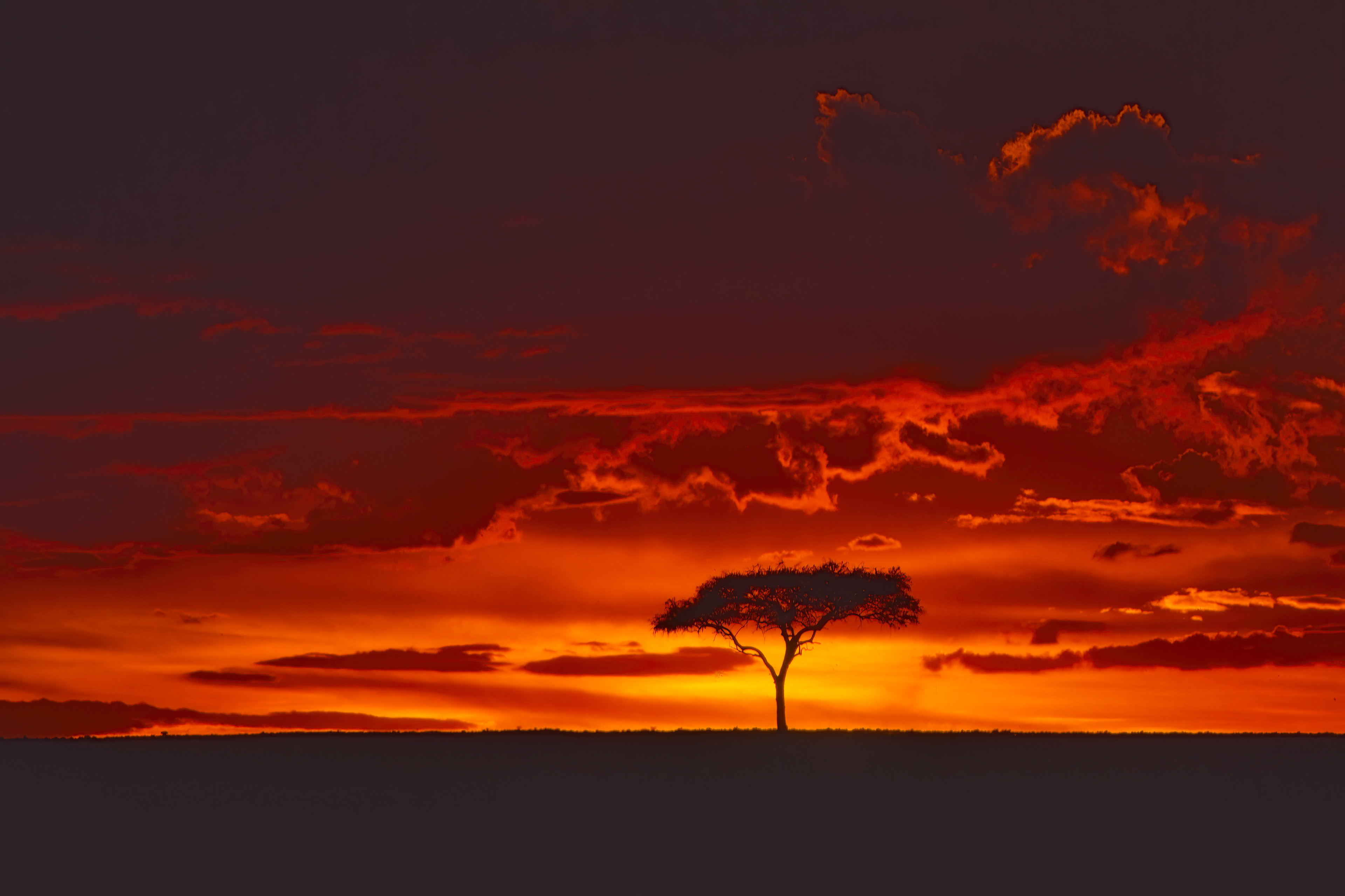 Magnificent Masi Mara sunset