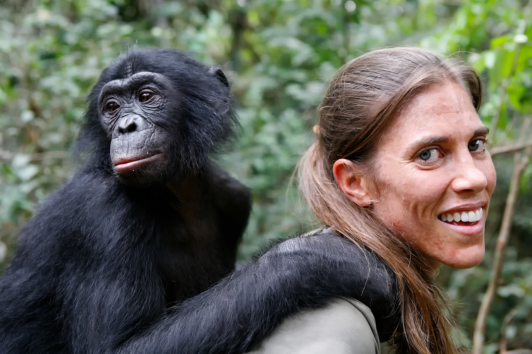Robin with a young rescued Bonobo in a special reserve - Democratic Republic of Congo