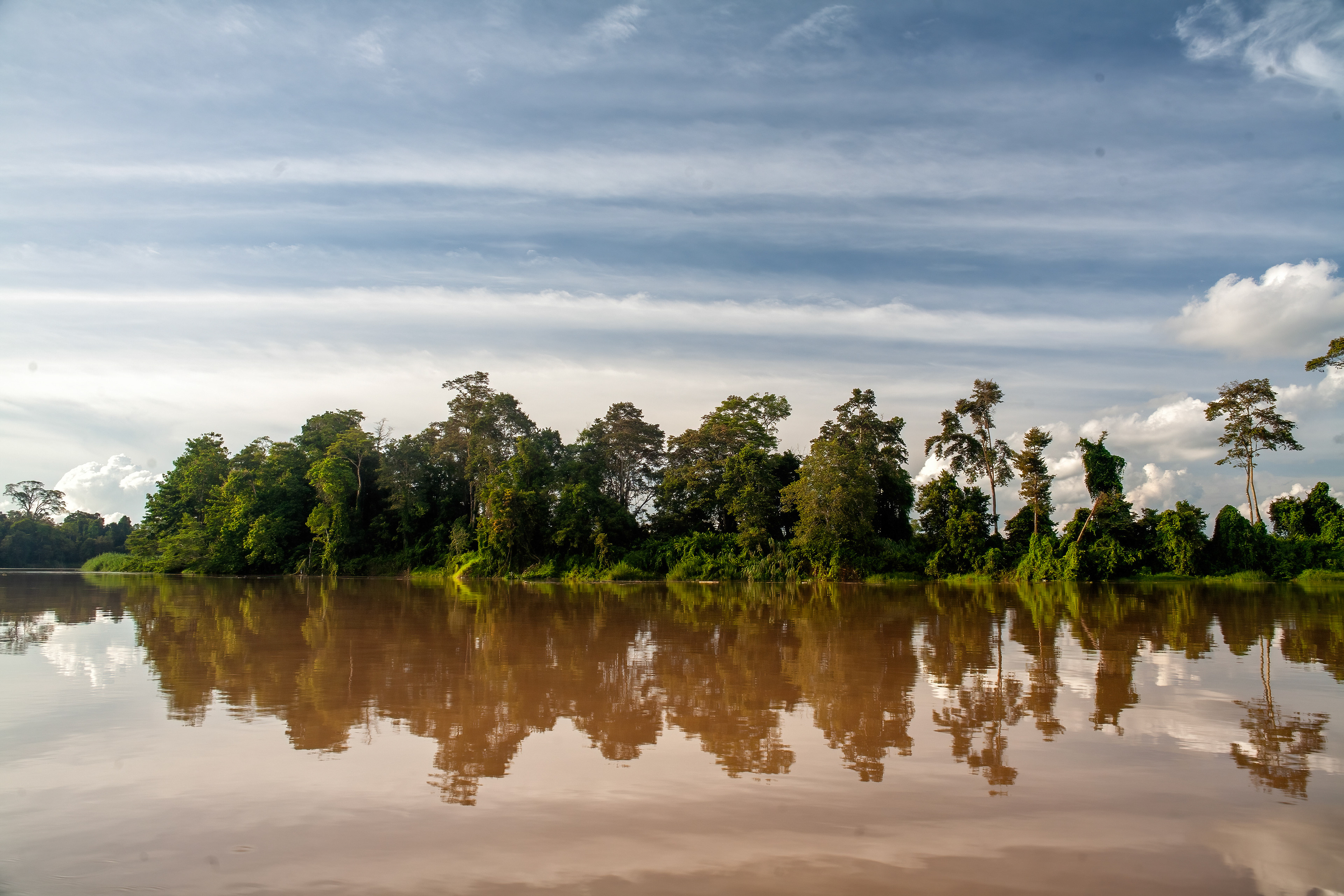Kinabatangan River - Sabah, Malaysia
