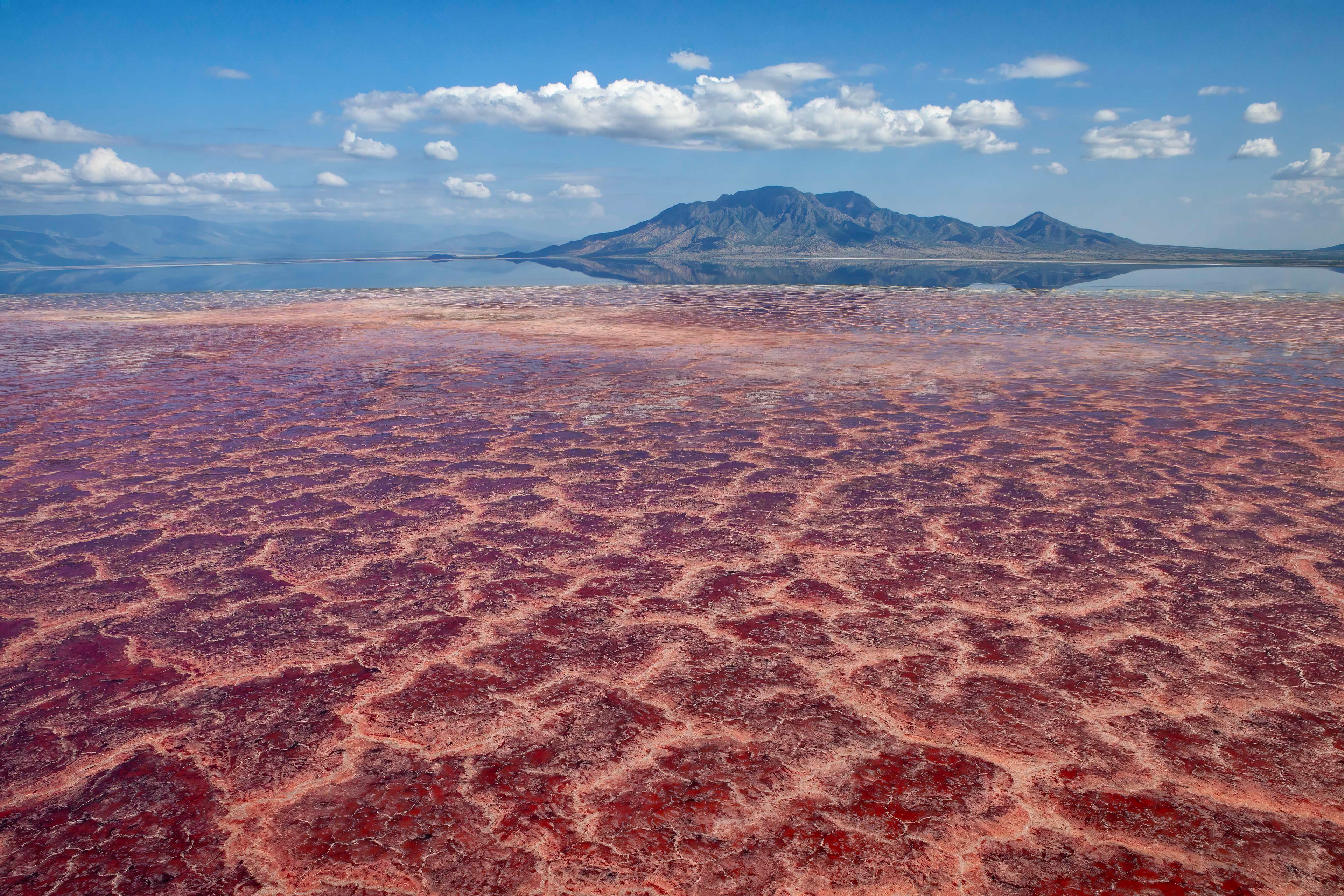 The stunning red algae of Lake Natron - Kenya