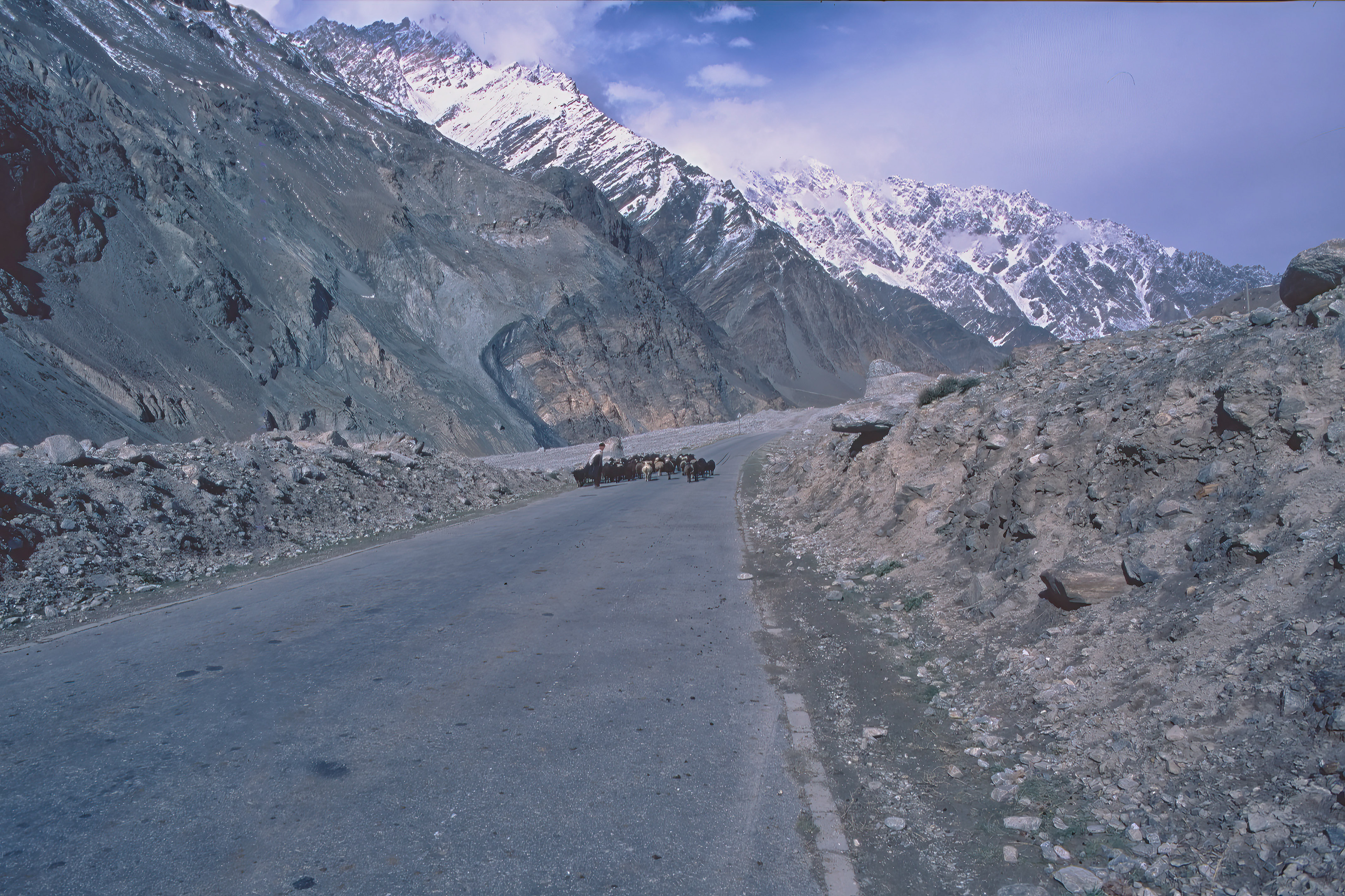 Goat herd on the Karakorum highway - Xinjiang, China