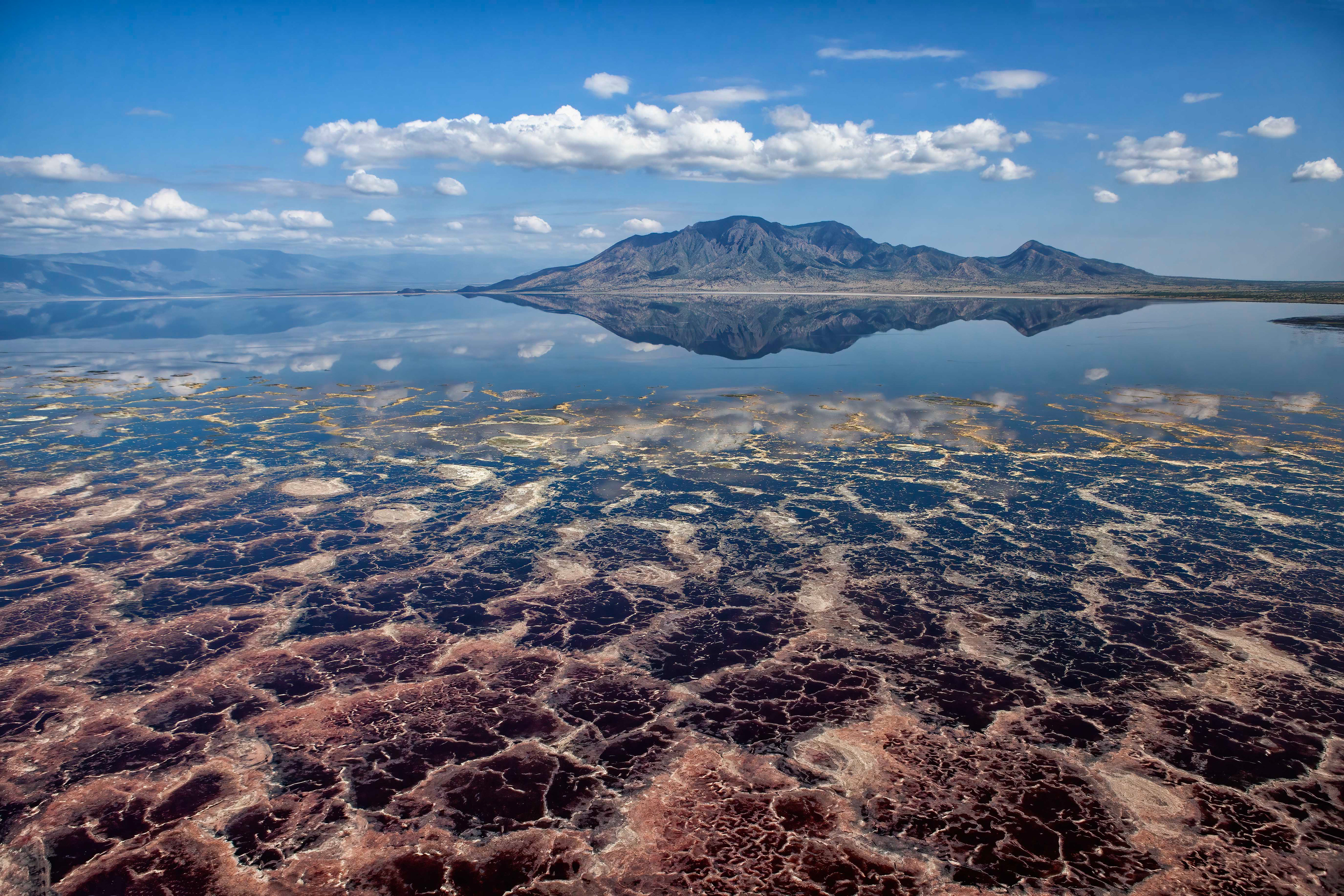 The stunning algae of Lake Natron - Kenya