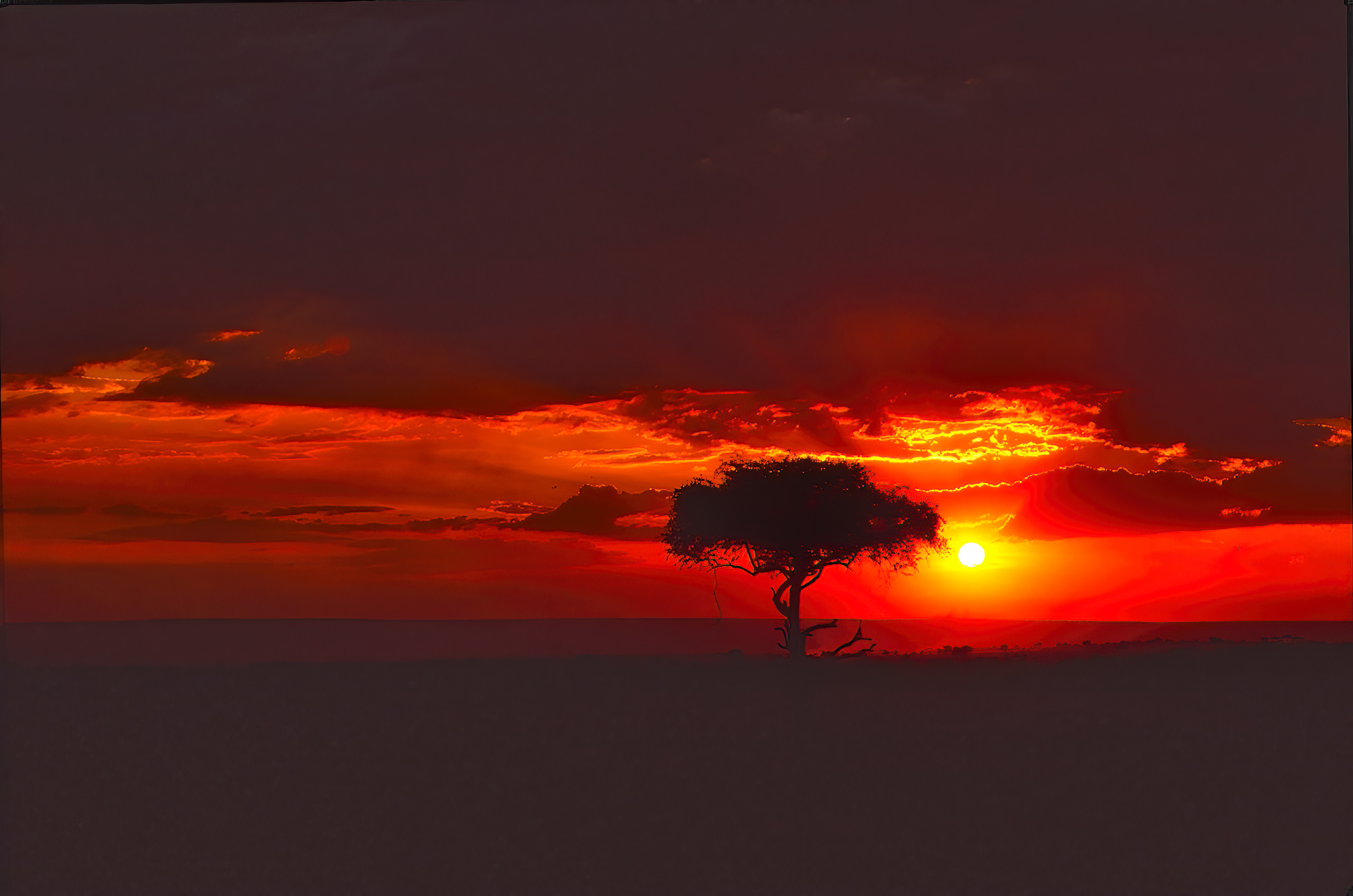 Dramatic African sunset - Masai Mara
