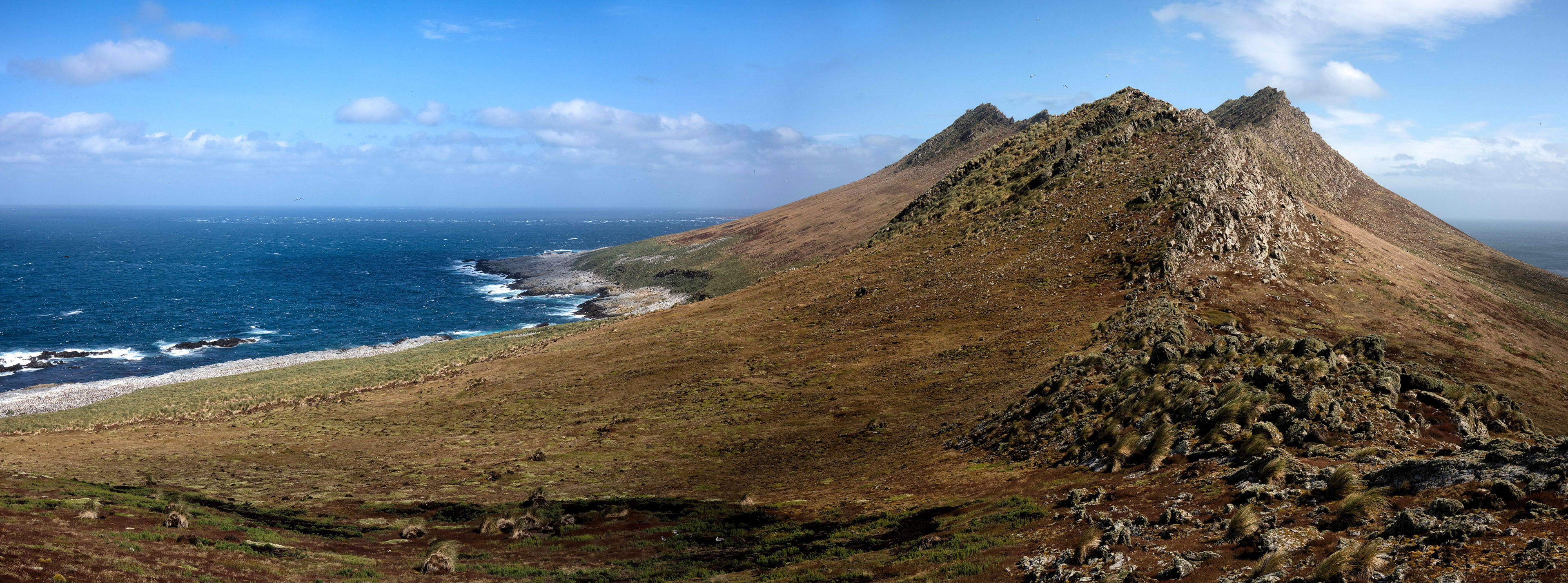 The magnificent Steeple Jason Island - Falklands