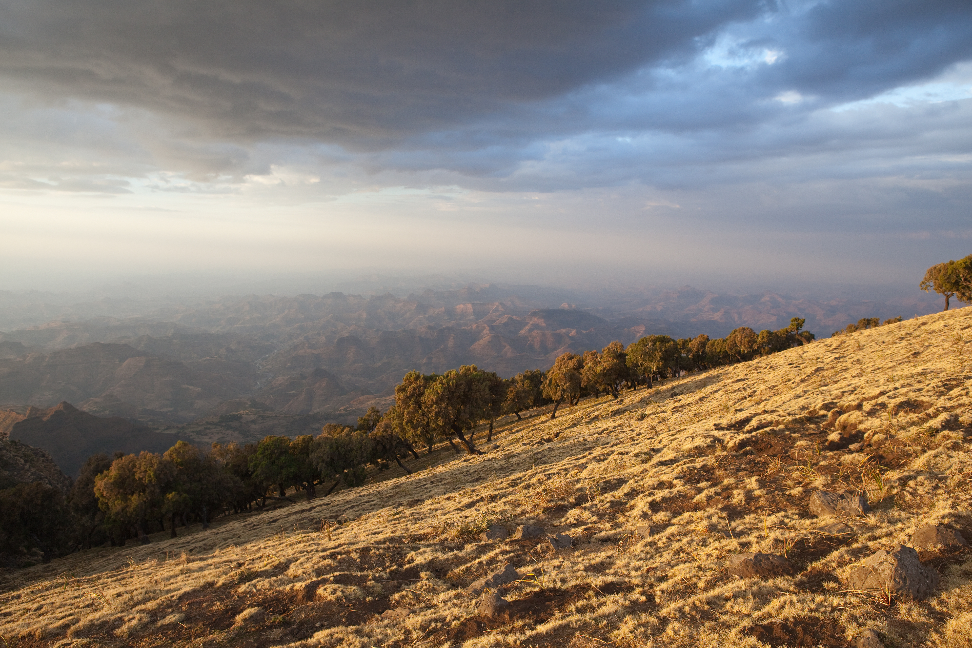 View from the Simien Mountains, Ethiopia