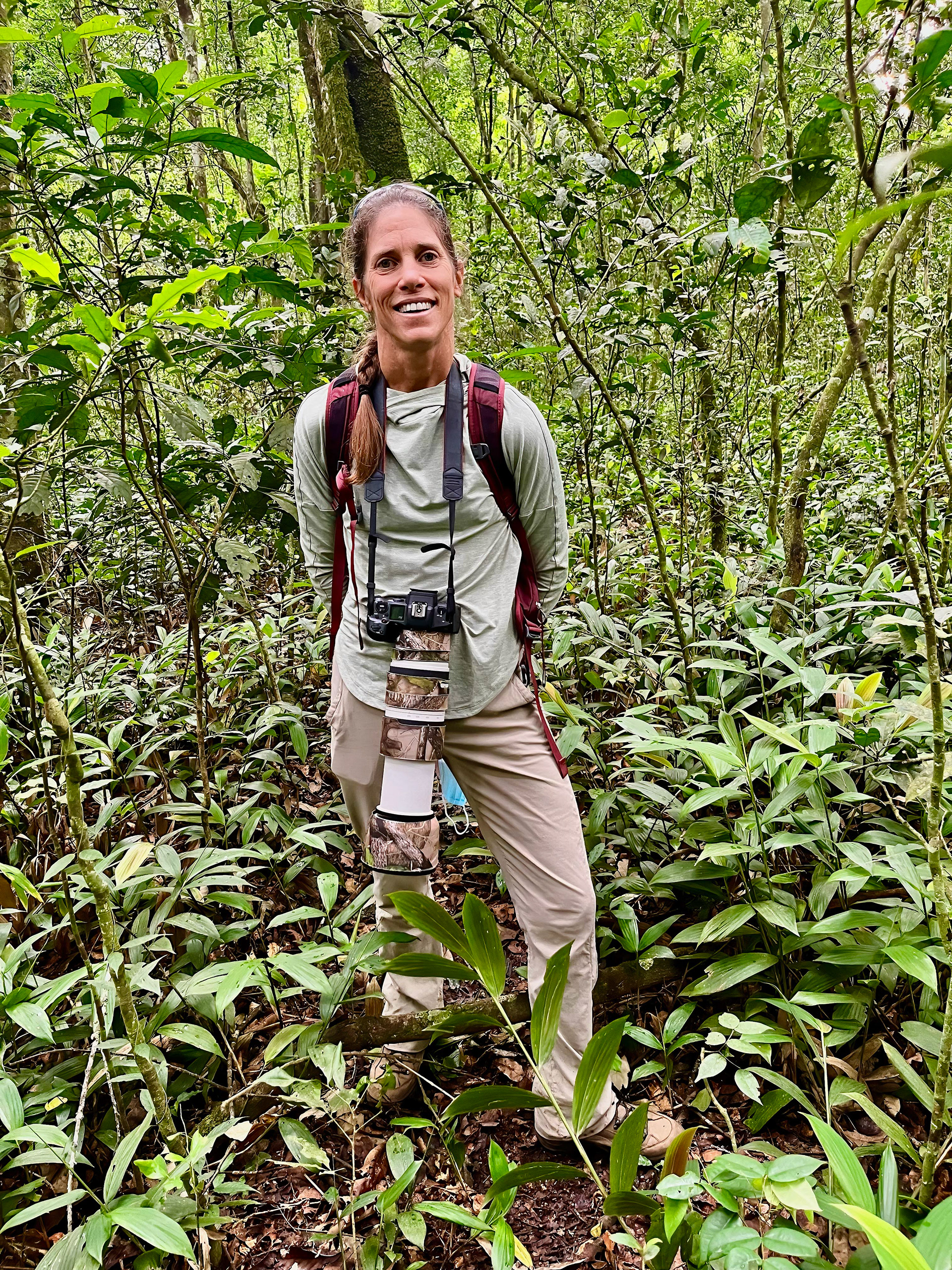 Robin taking a break during a forest walk in Odzala-Kokoua National Park, Republic of Congo