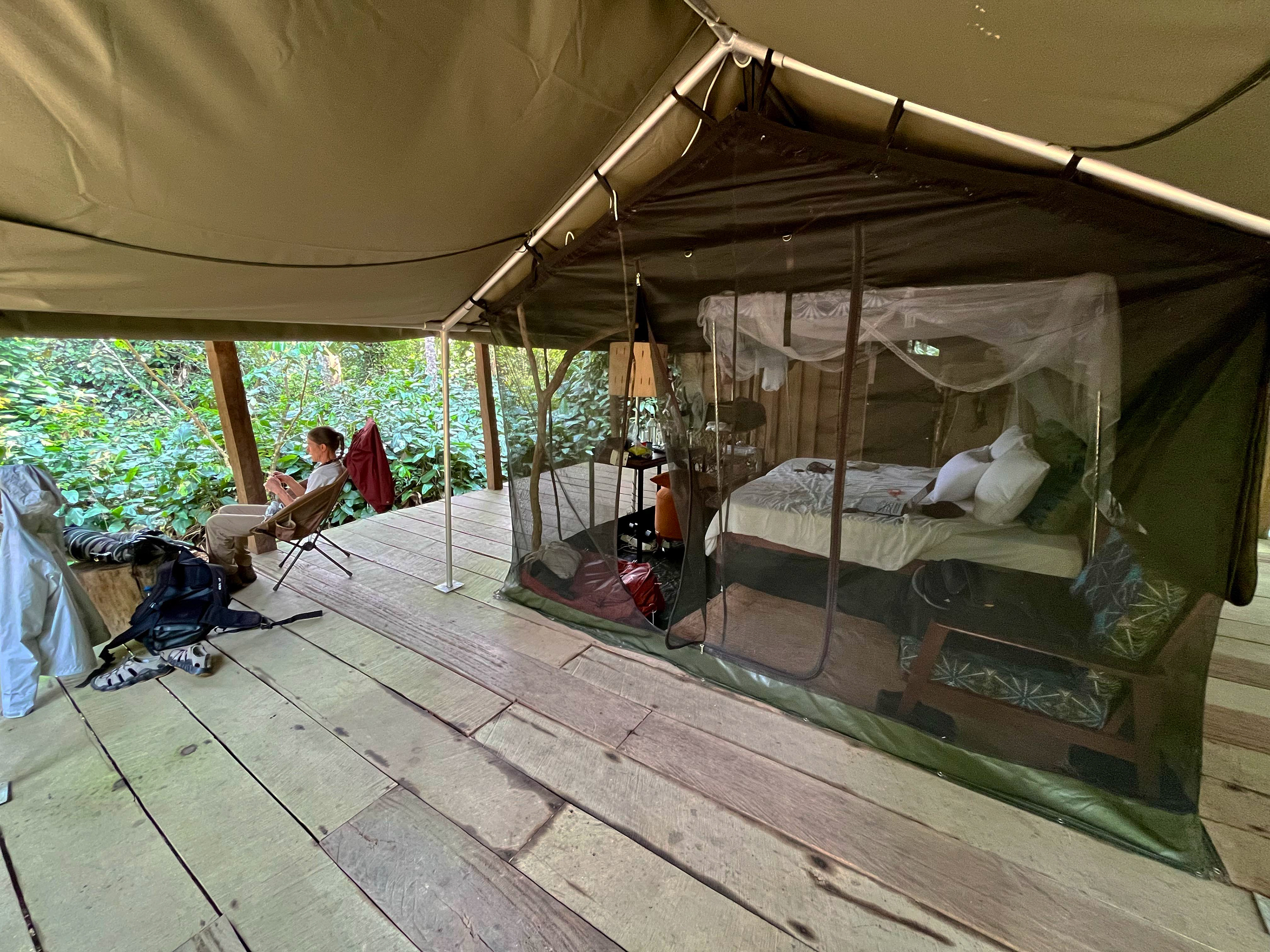 Immersive jungle accommodation in Odzala-Kokoua National Park, Republic of Congo